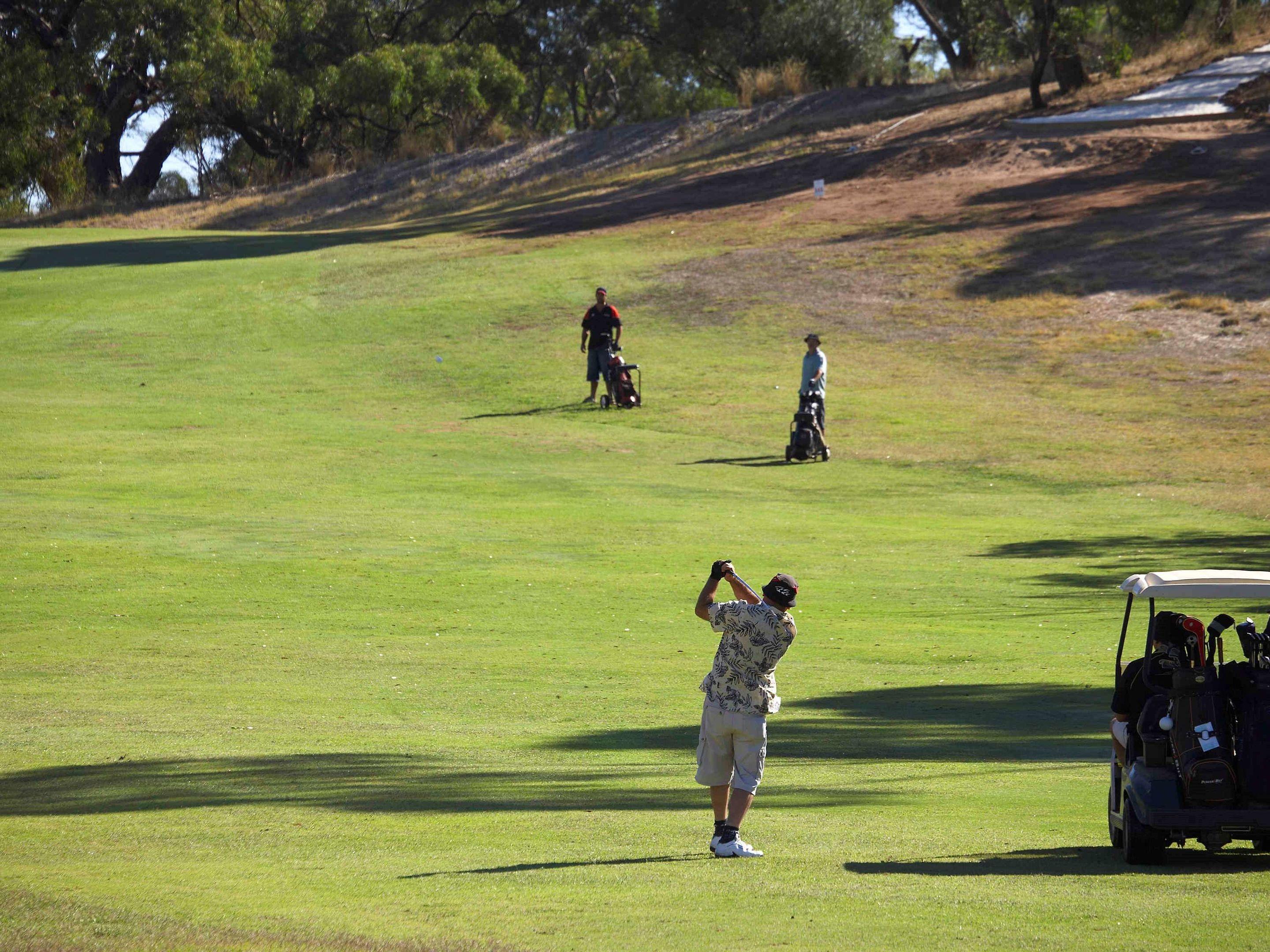 Novotel Barossa Valley Resort — photo 4