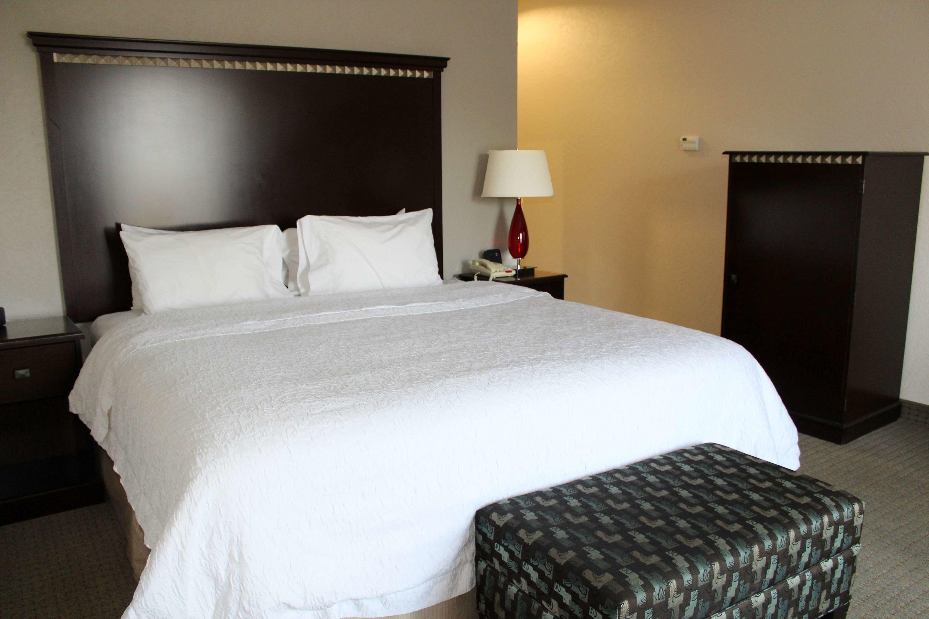Hampton Inn & Suites Mount Pleasant — photo 3