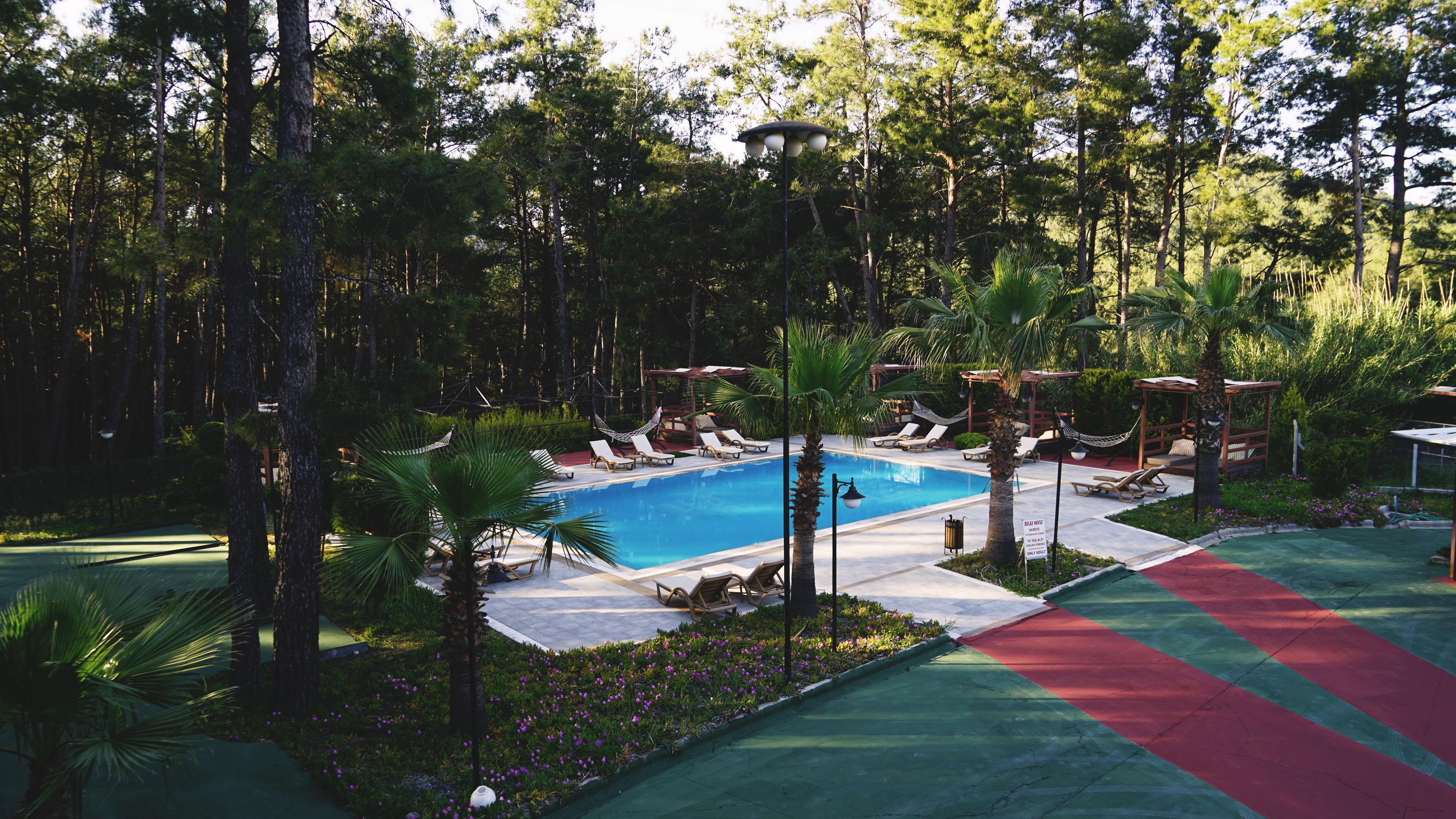 Green Forest Holiday Village — photo 3