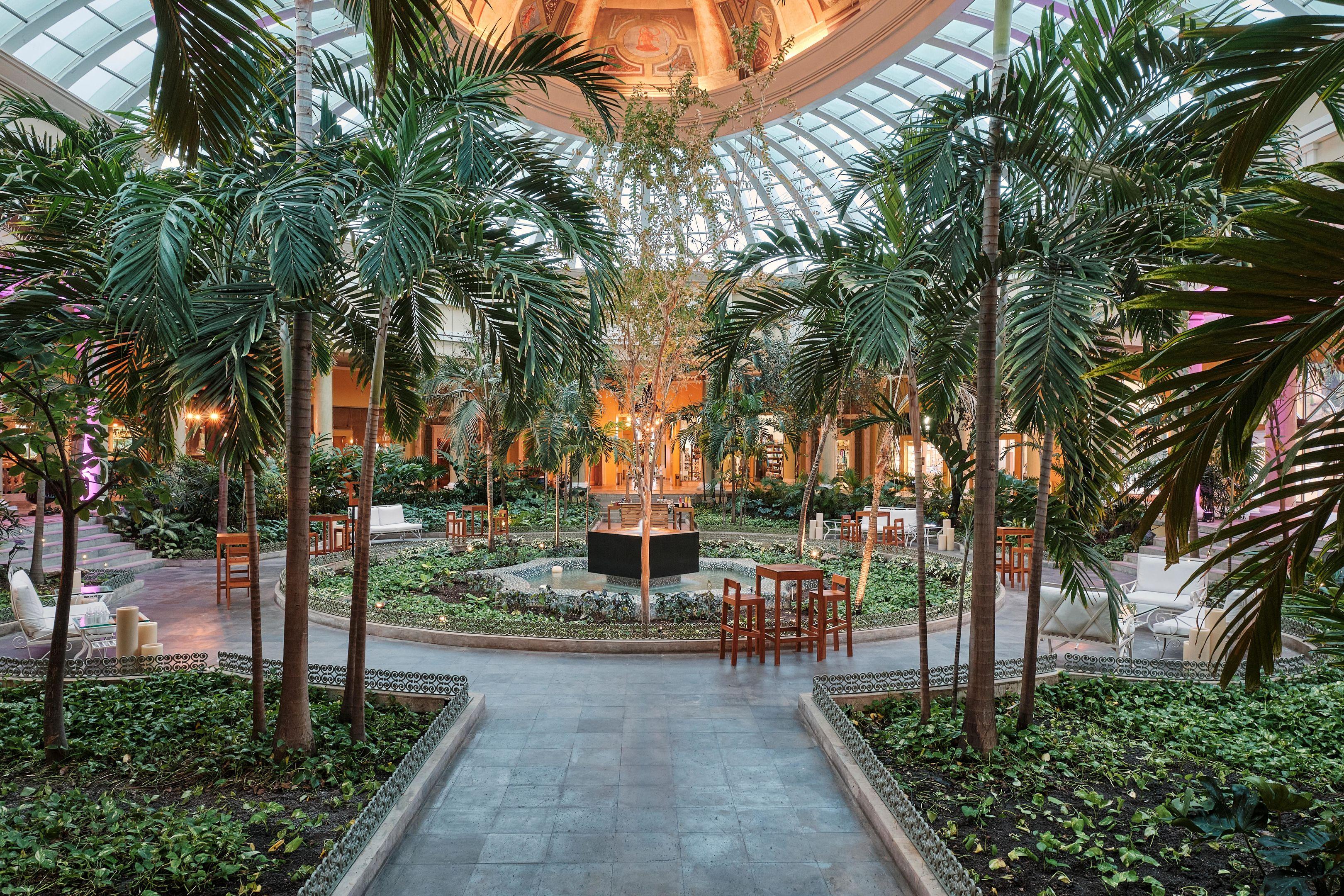 Iberostar Grand Paraíso — photo 4