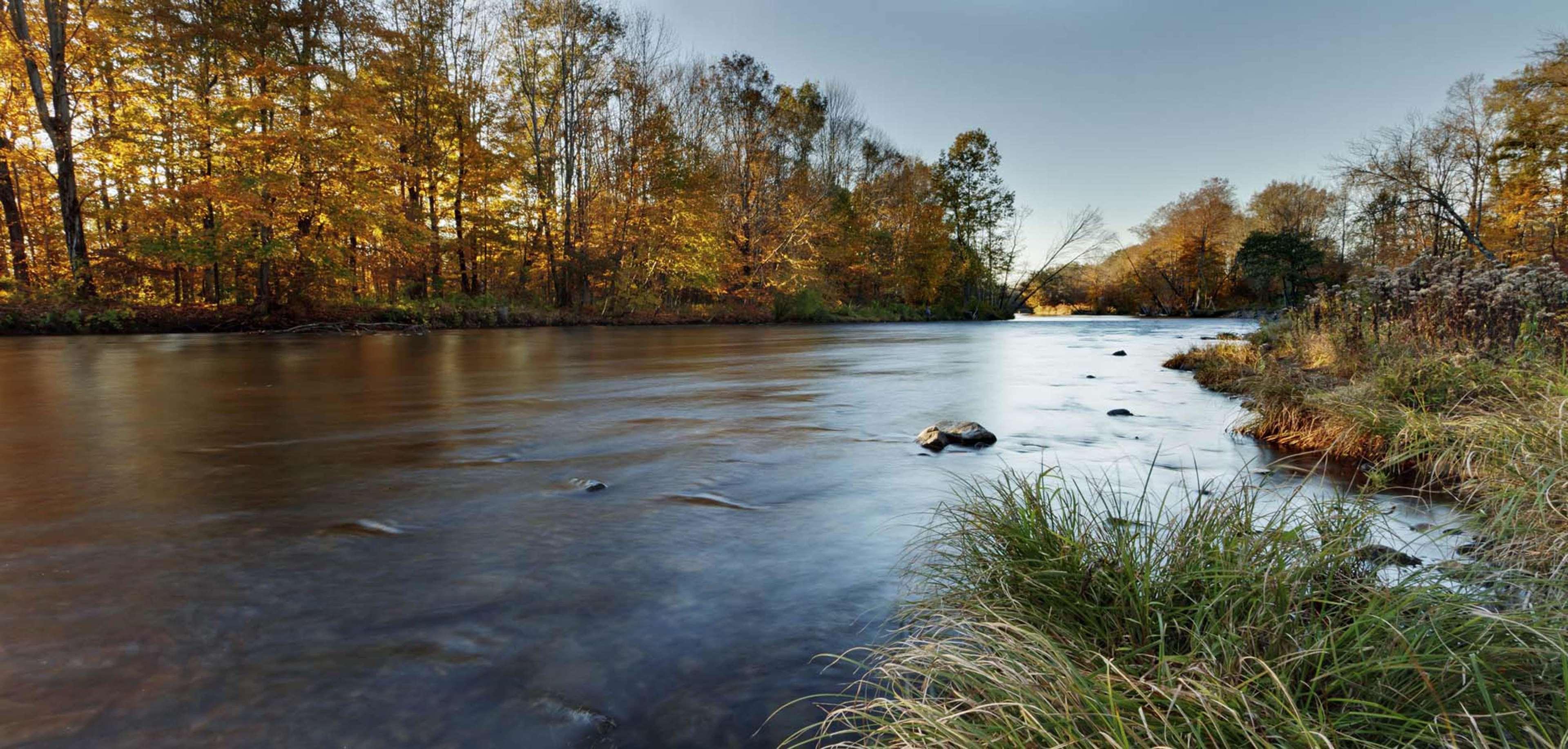 Tailwater Lodge Altmar, Tapestry Collection by Hilton — photo 3