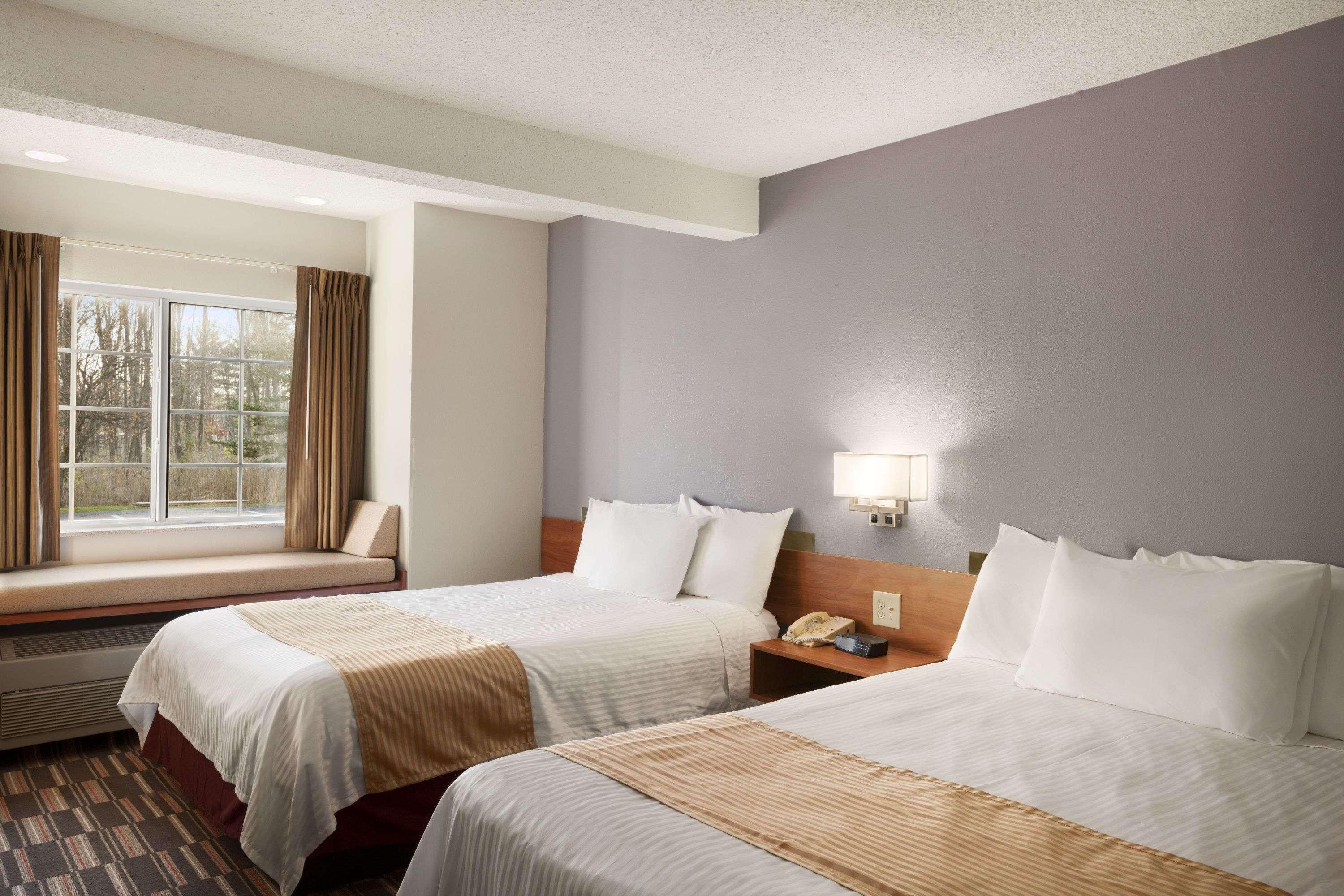 Microtel Inn by Wyndham Albany Airport — photo 4