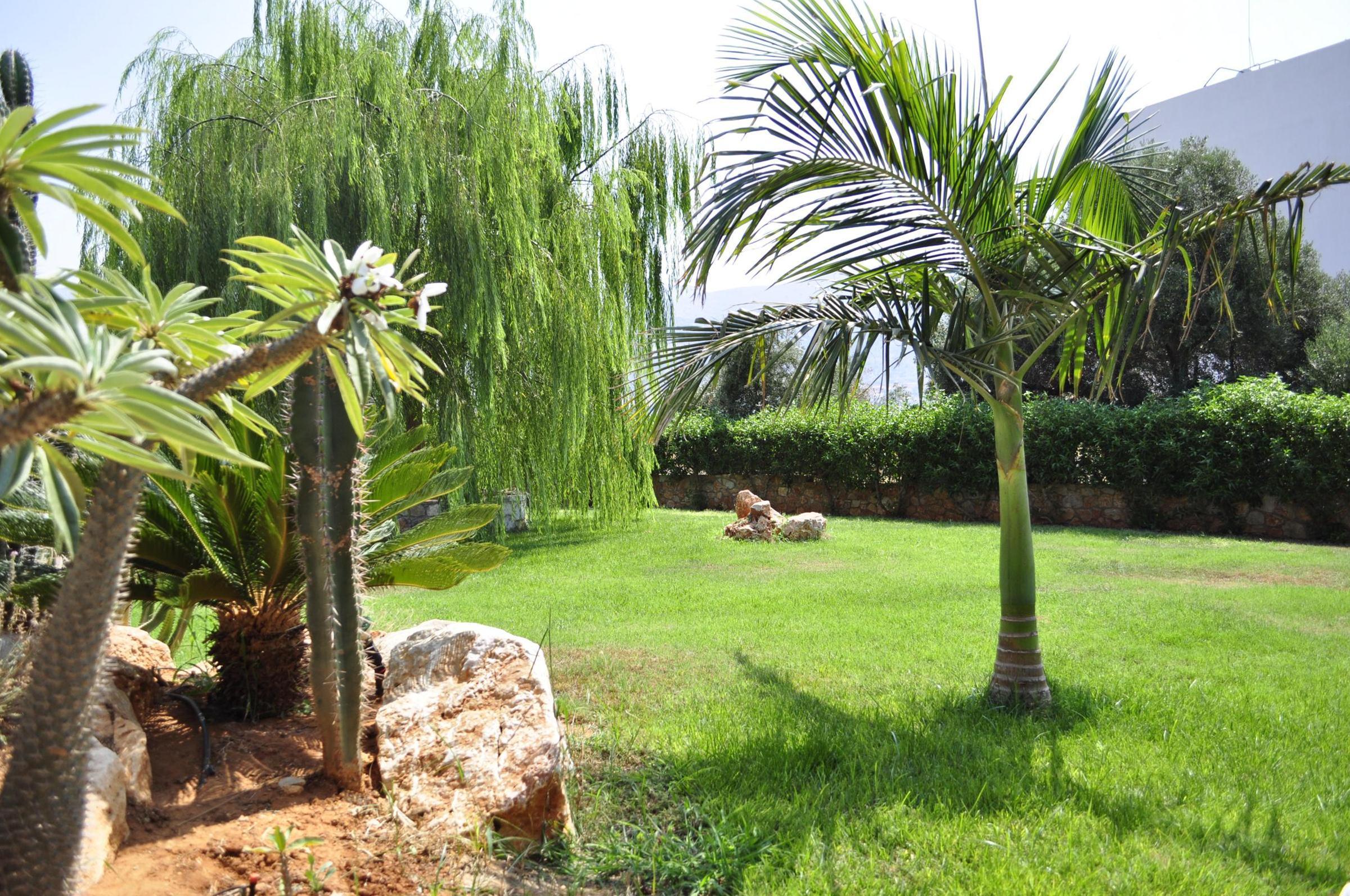 Sun Village Malia Boutique Hotel — photo 3