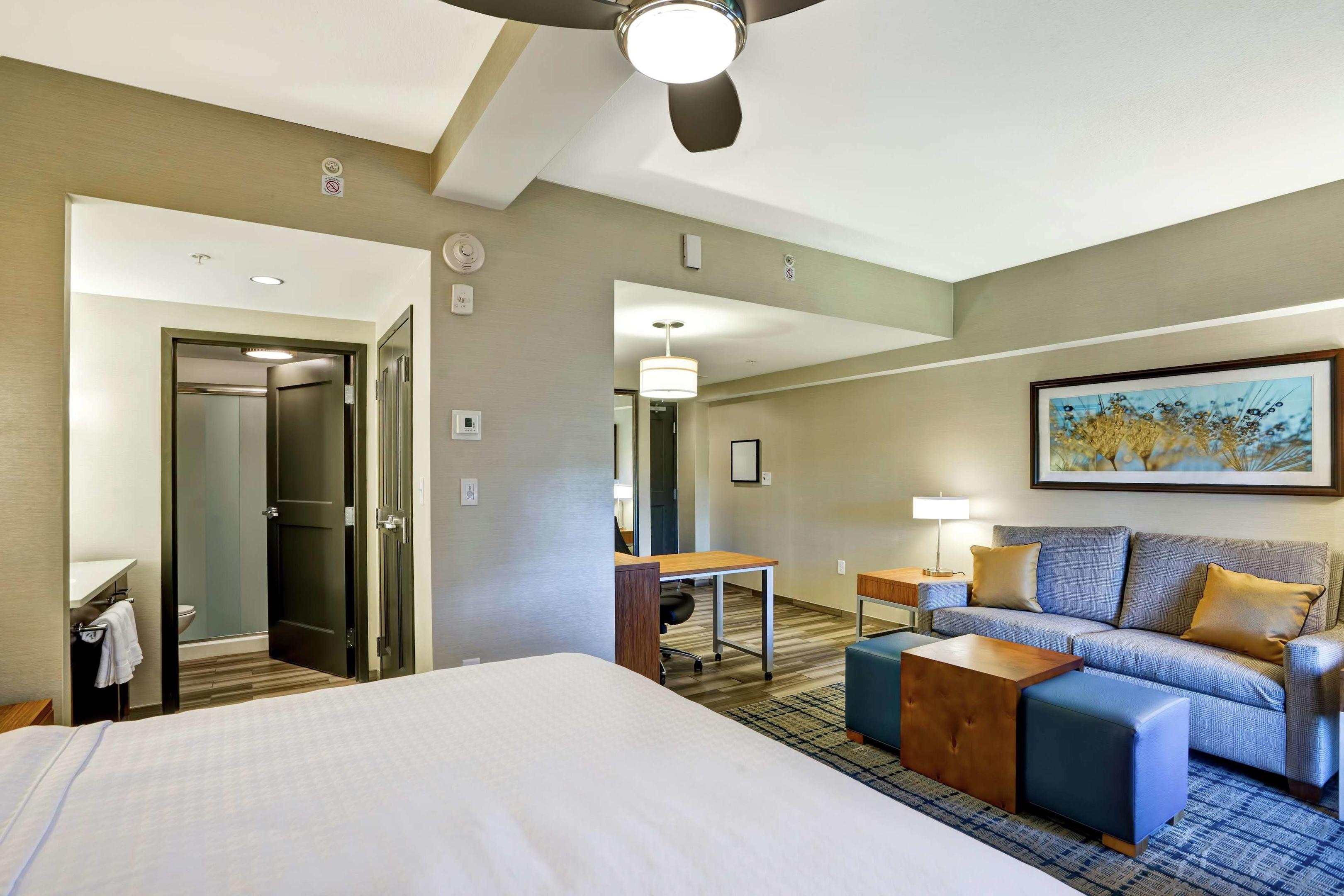 Homewood Suites by Hilton Boston/Brookline — photo 5