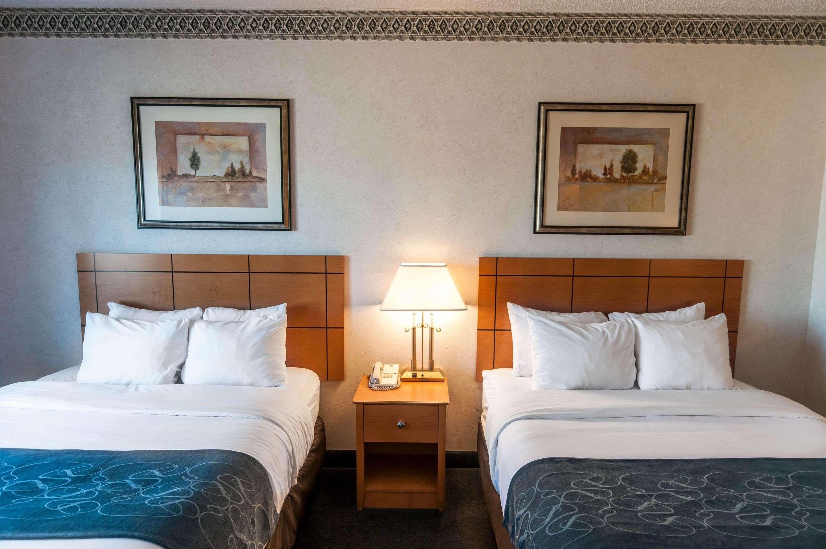 Comfort Suites University — photo 5