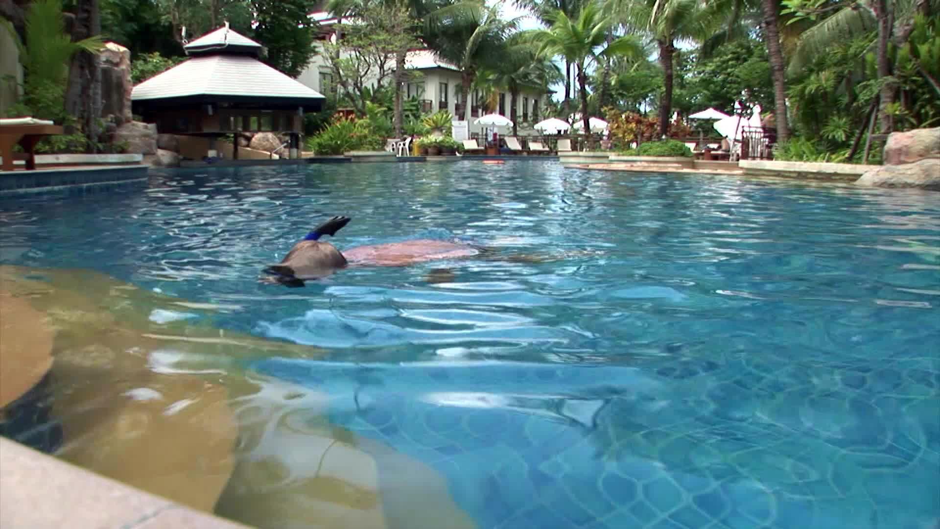 Horizon Karon Beach Resort & Spa — photo 4