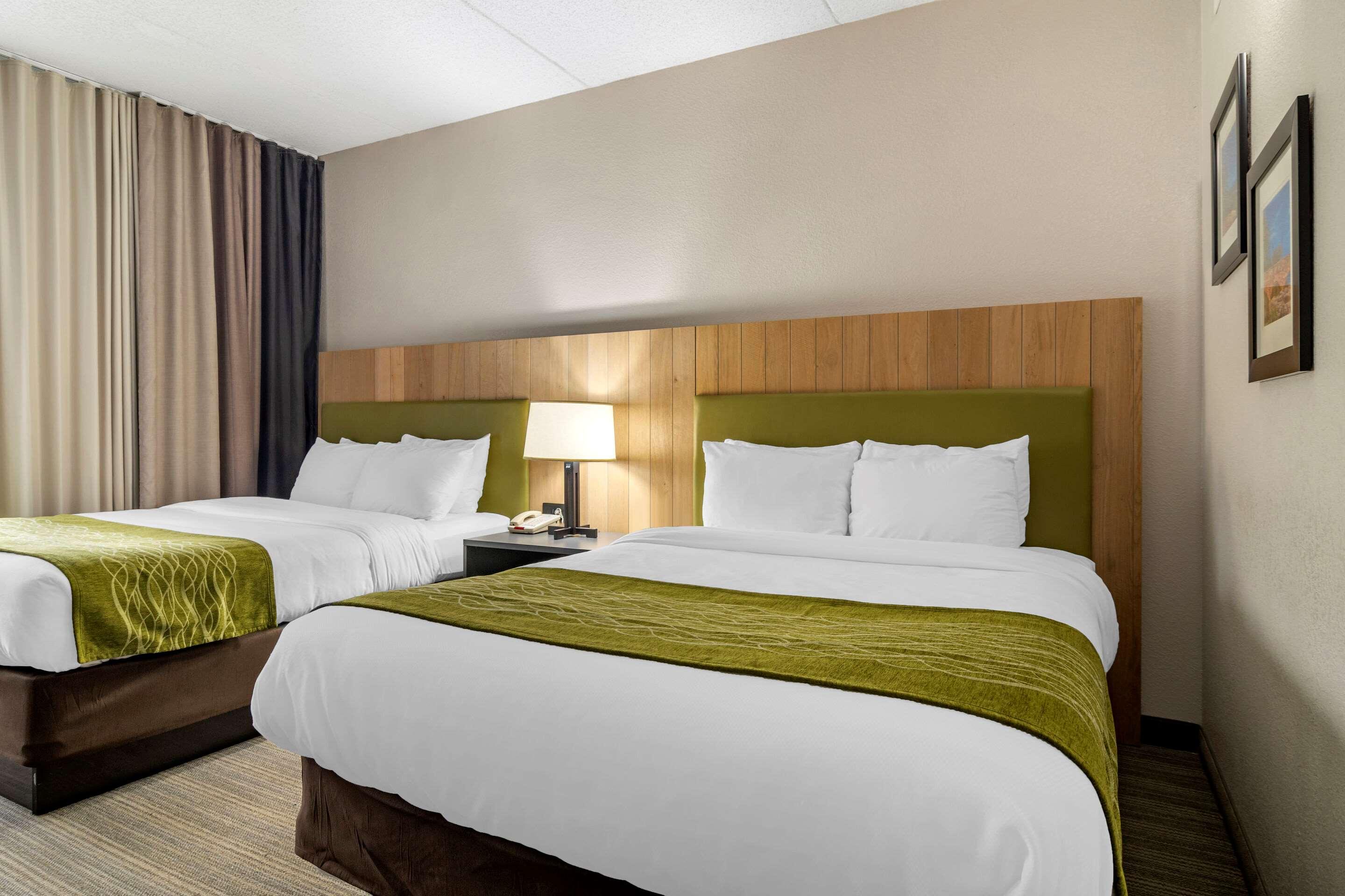 Comfort Inn & Suites — photo 5