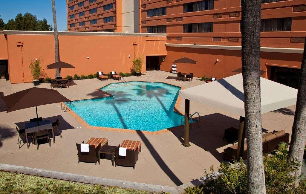 Hilton Concord — photo 4