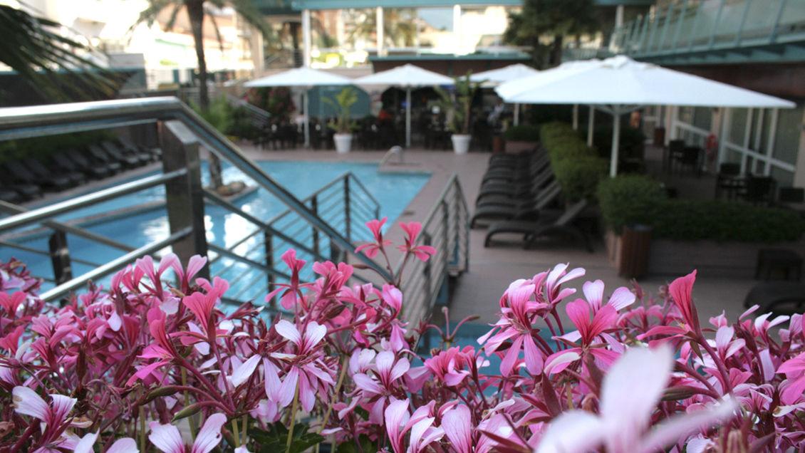 Hotel Kaktus Playa — photo 4