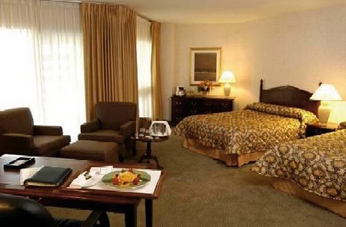 Delta Hotels Montreal — photo 5