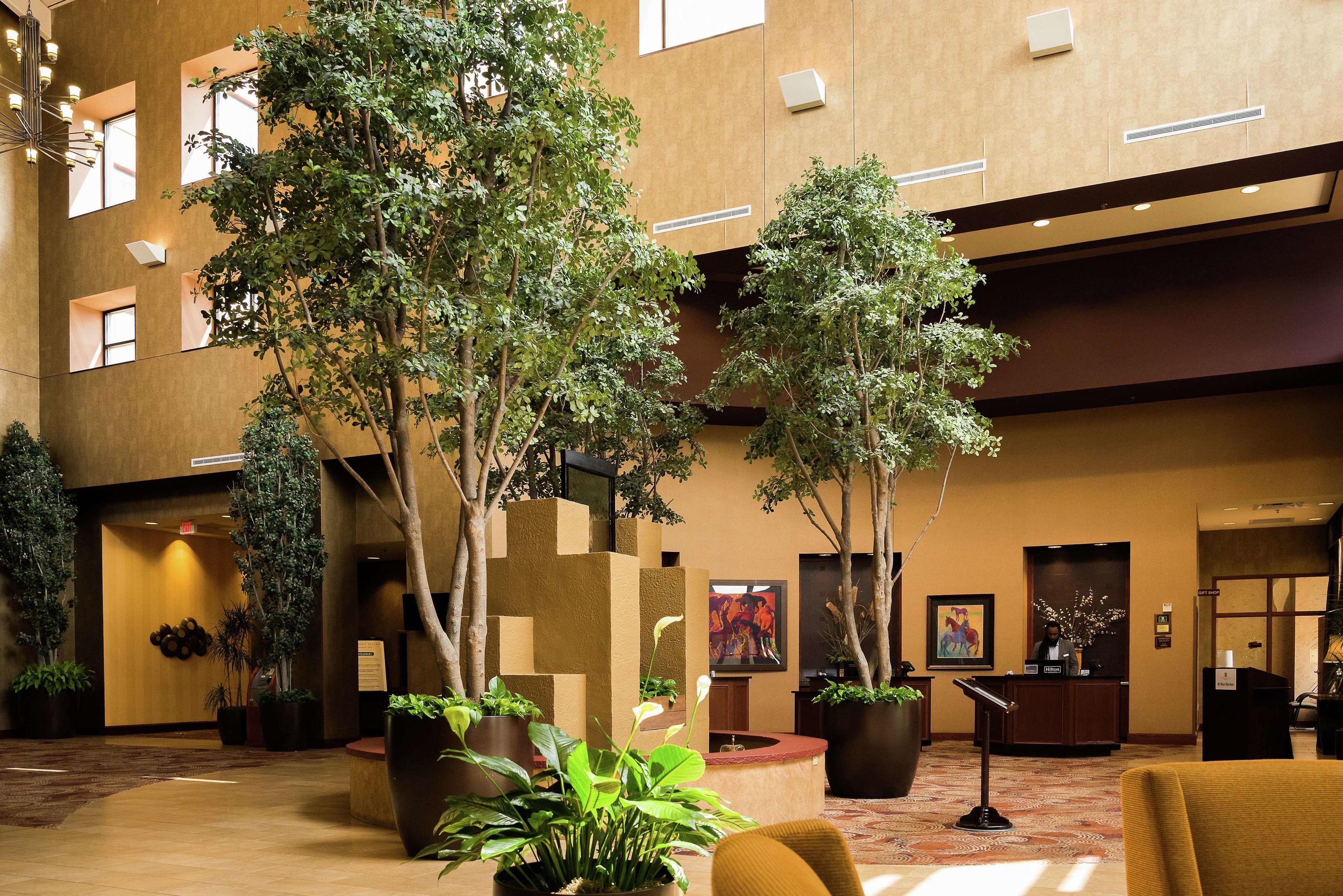 Embassy Suites Minneapolis - North — photo 5