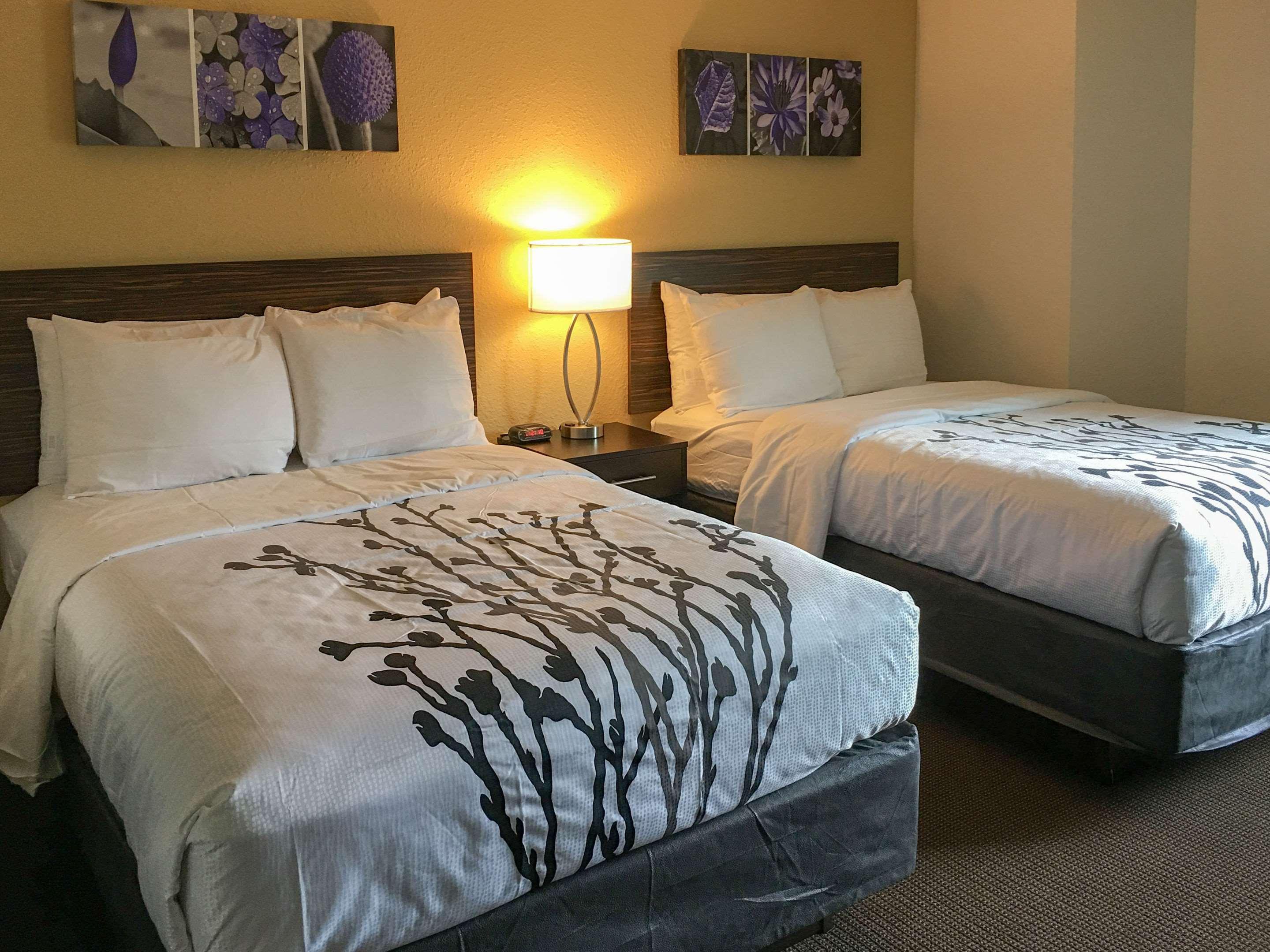 Sleep Inn Florence — photo 5