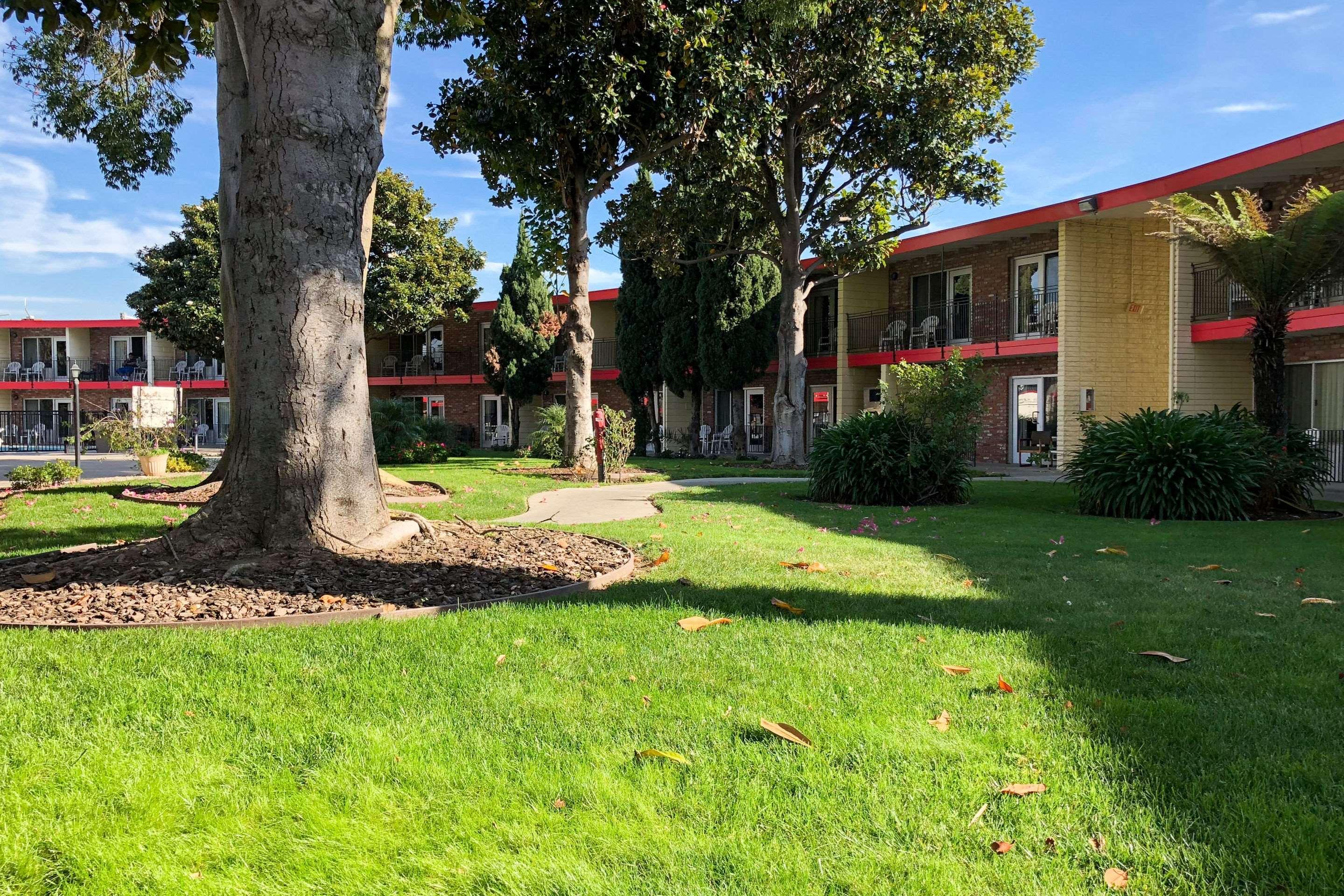 Econo Lodge Inn & Suites Oakland Airport — photo 4