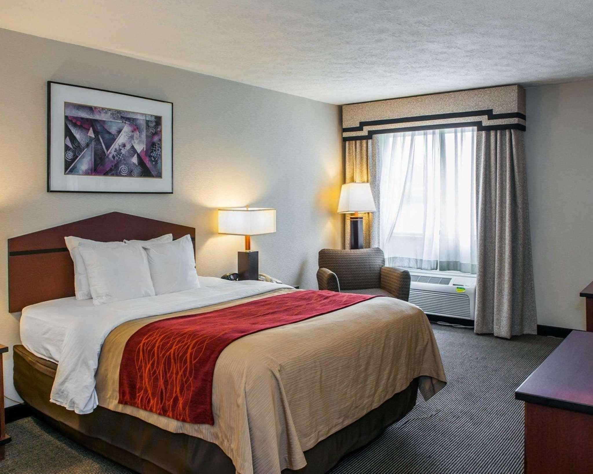 Comfort Inn — photo 5
