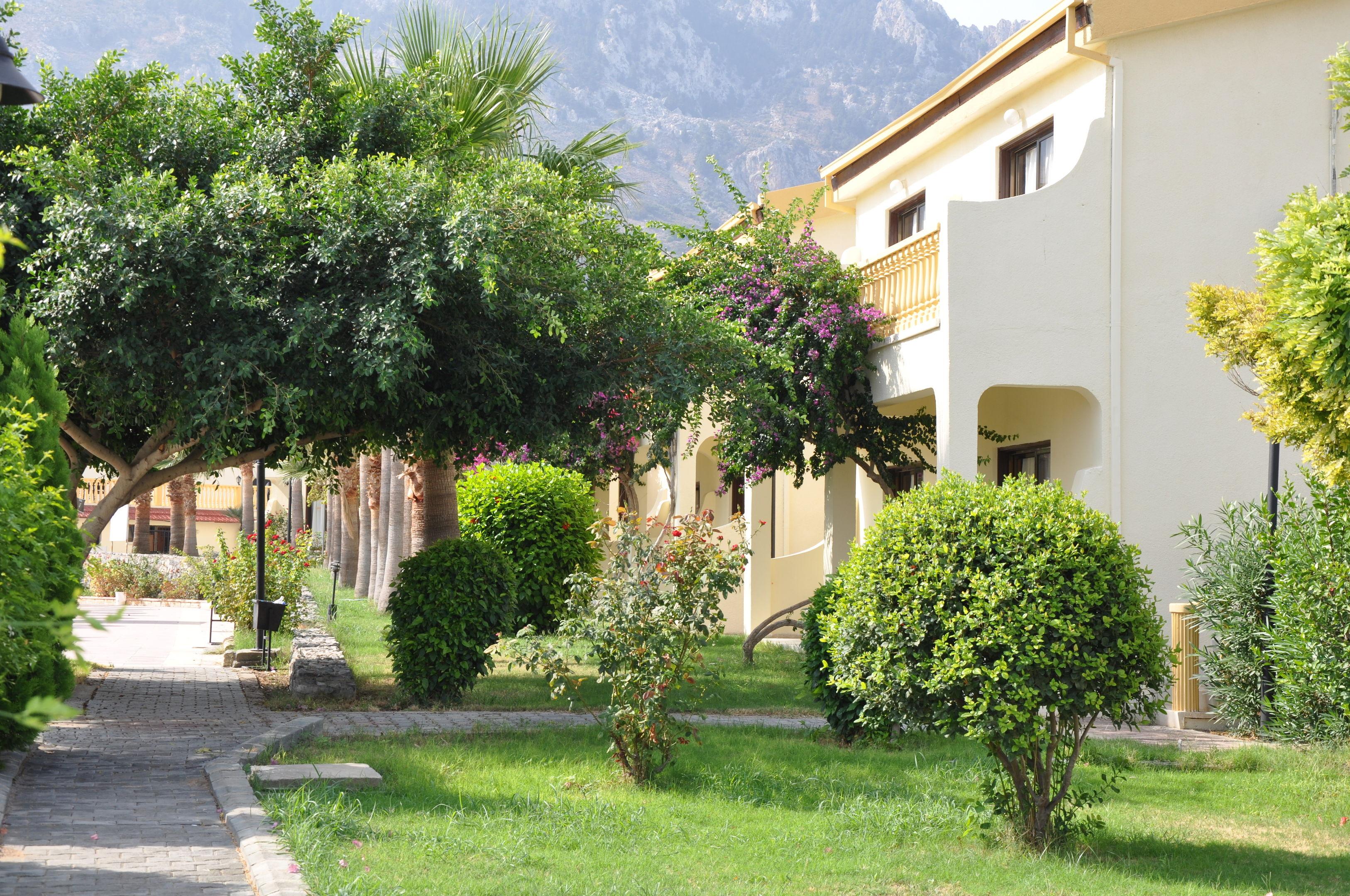 Club Simena Hotel — photo 4