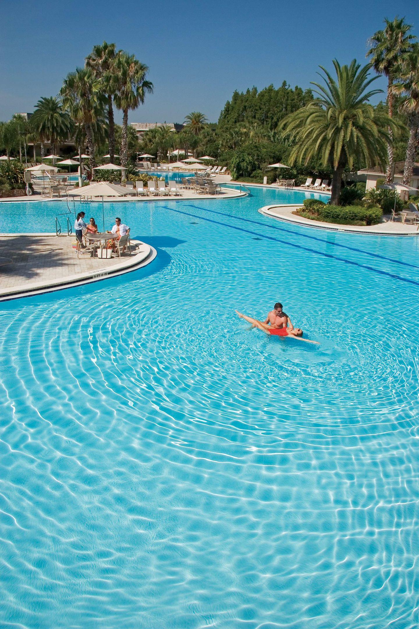 Saddlebrook Resort Tampa — photo 5