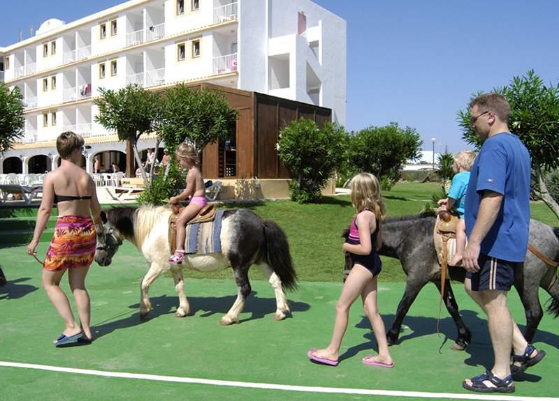 SunConnect Hotel Los Delfines — photo 5