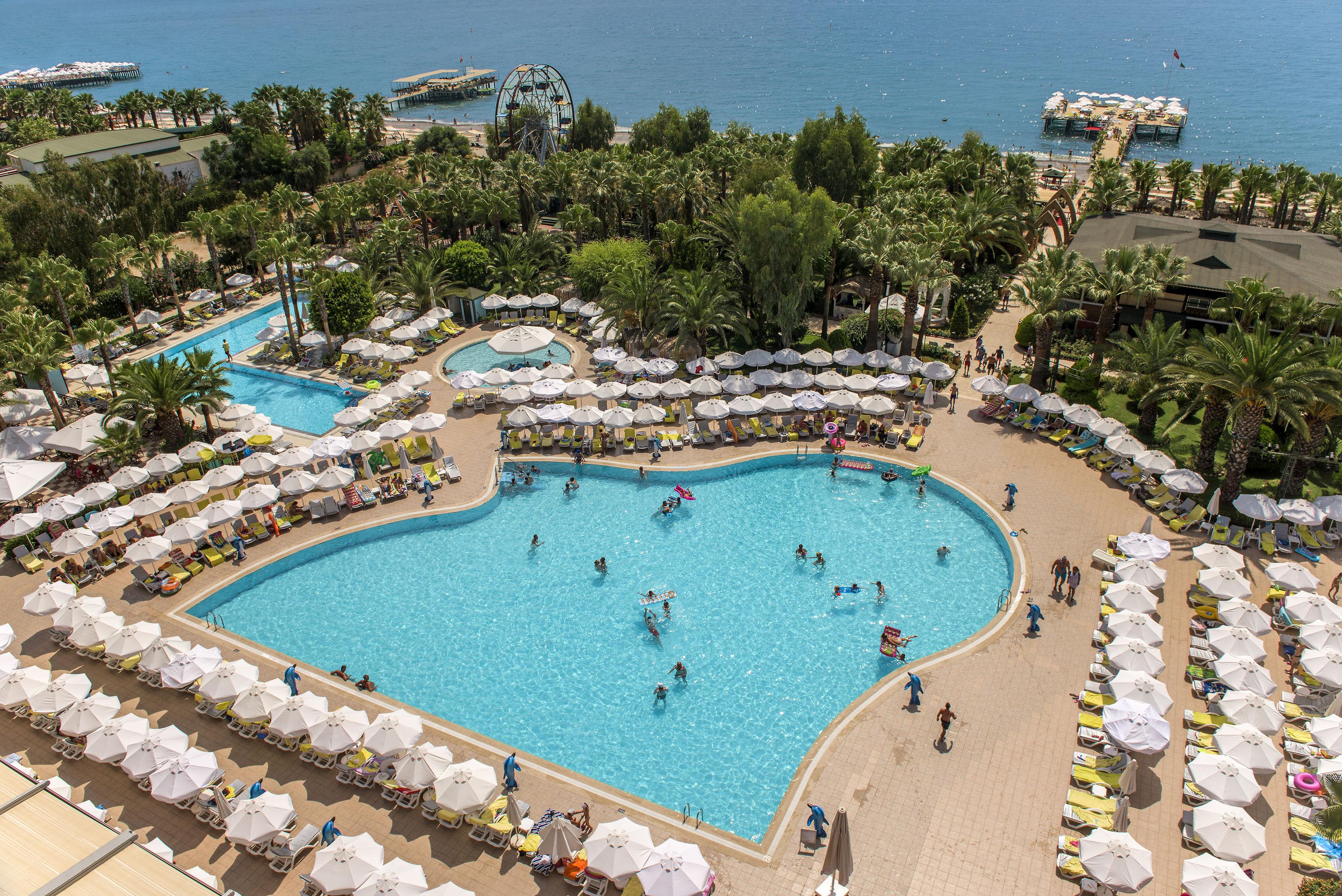 Delphin Deluxe — photo 5