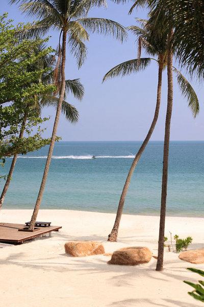 New Star Beach Resort — photo 4