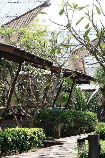 Cocohut Beach Resort & Spa — photo 5
