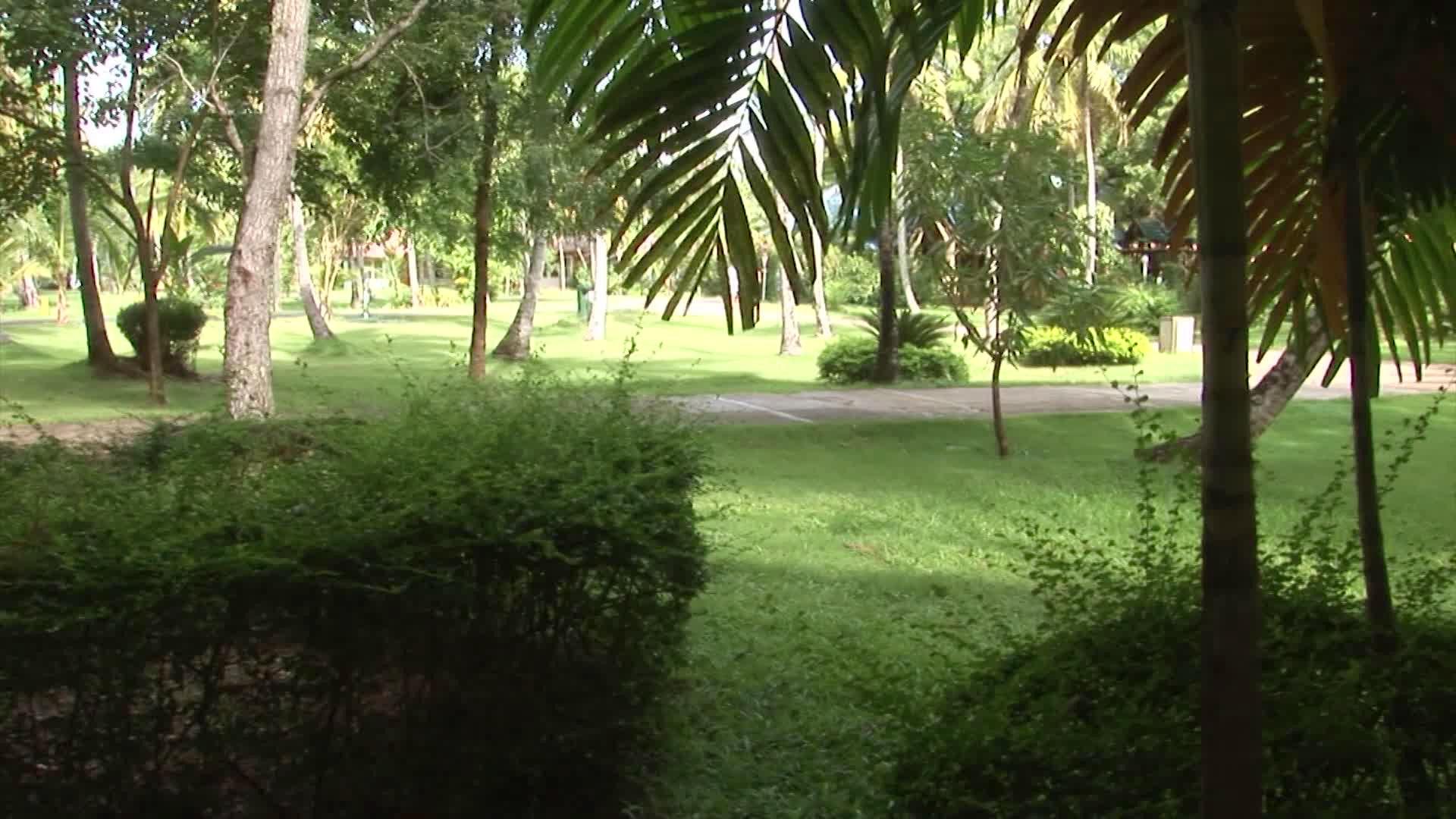 Grand Paradise Samaná — photo 3