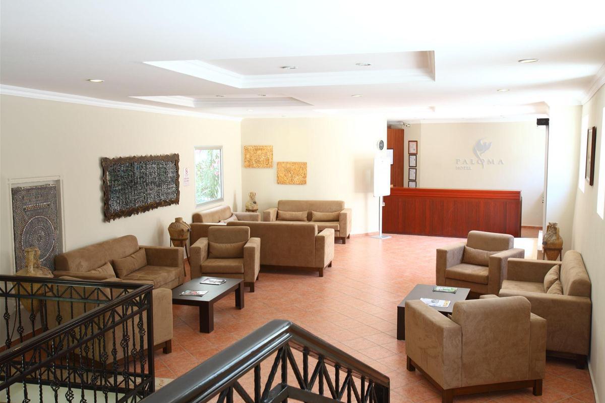 Paloma Hotel — photo 4