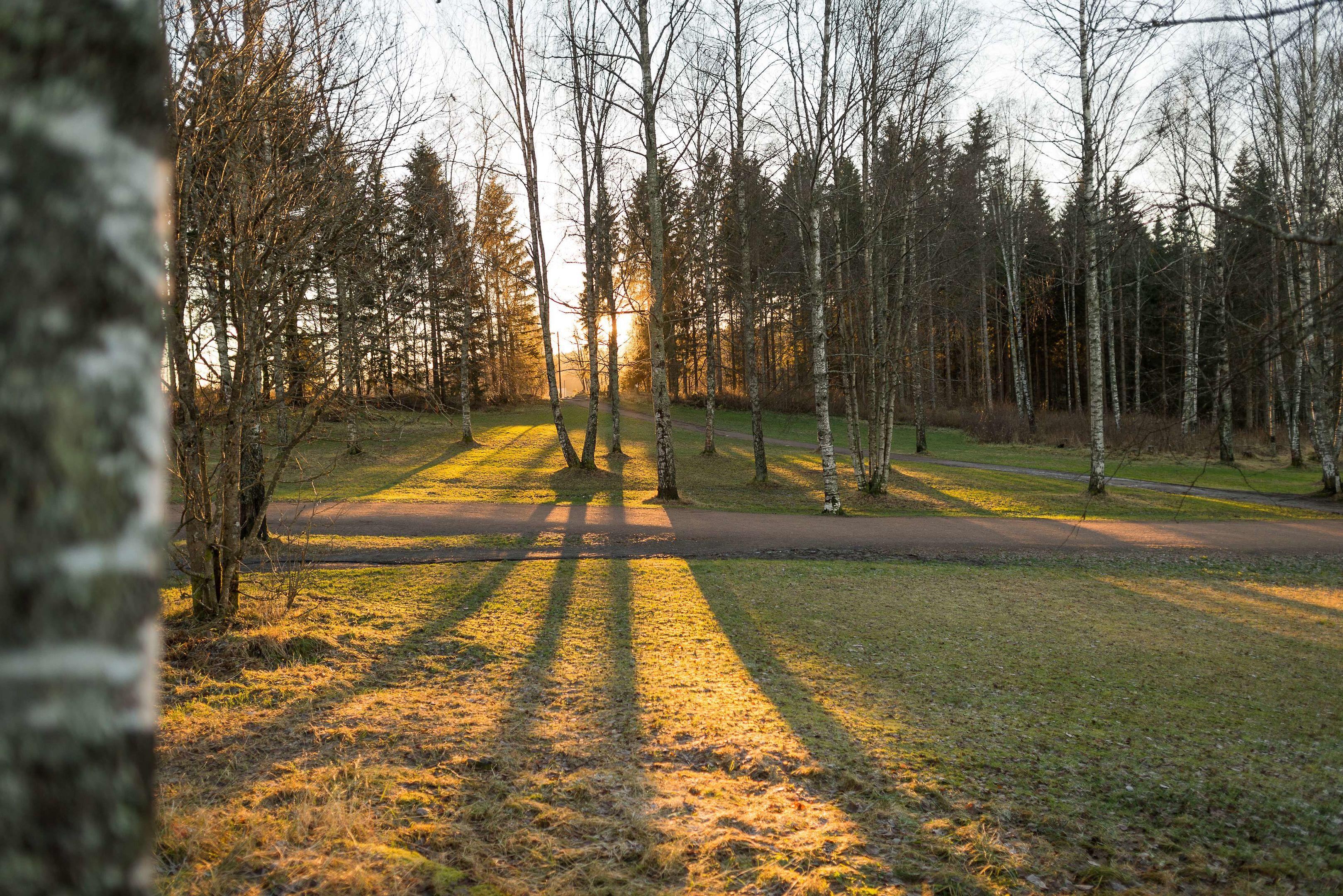 Olympiatoppen Sportshotel, Part of Scandic — photo 4