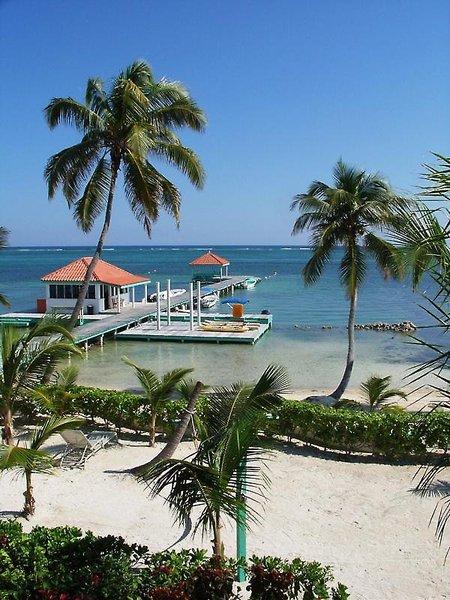 Belizean Shores Resort — photo 4