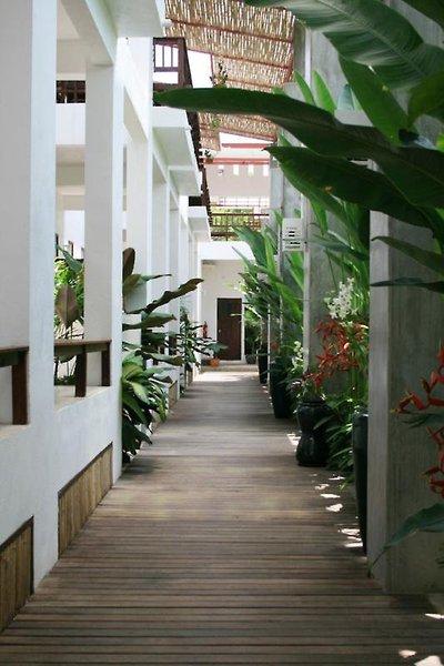 Duangjai Resort — photo 3