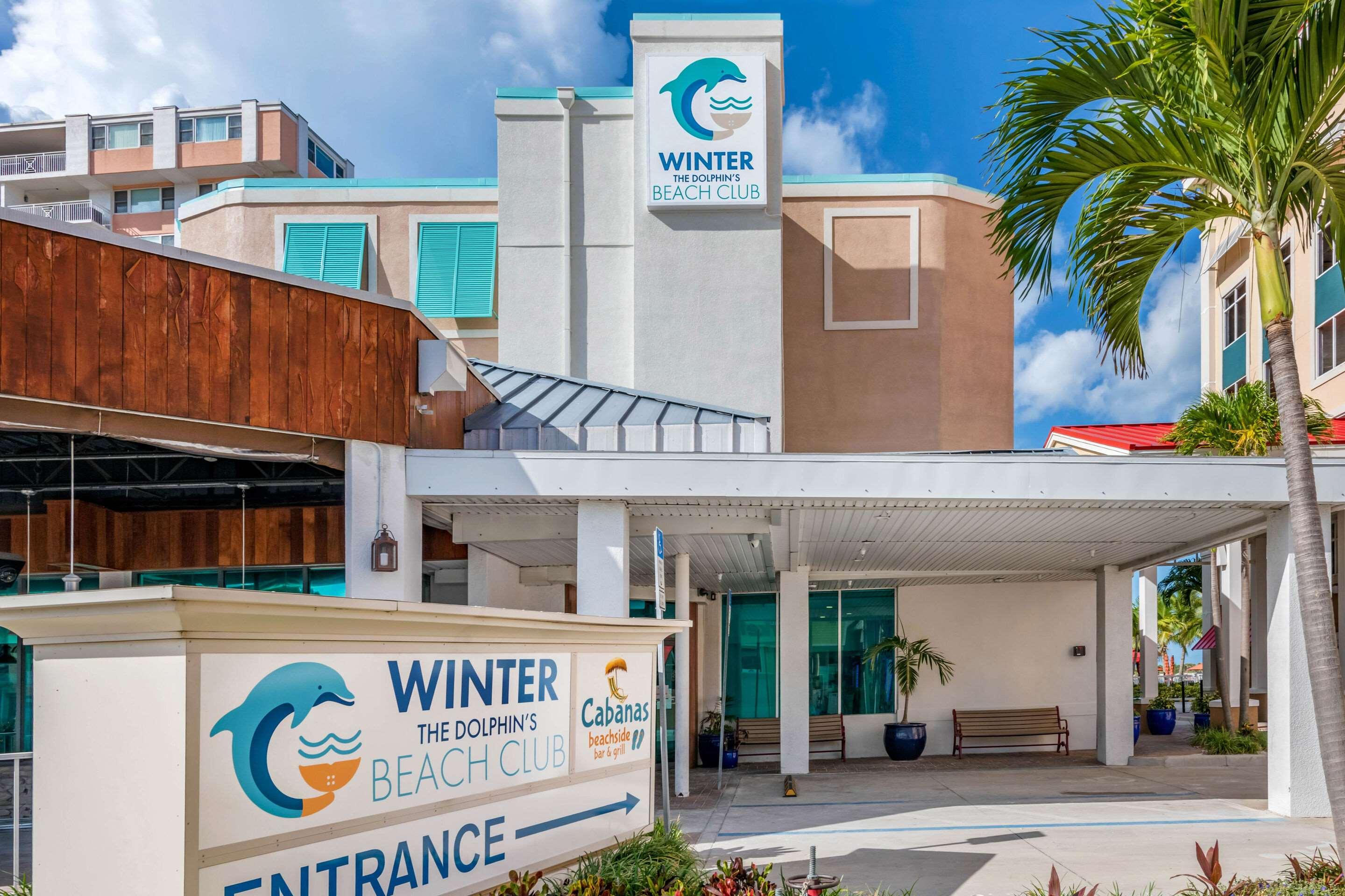 Winter The Dolphin's Beach Club, Ascend Hotel Collection — photo 4