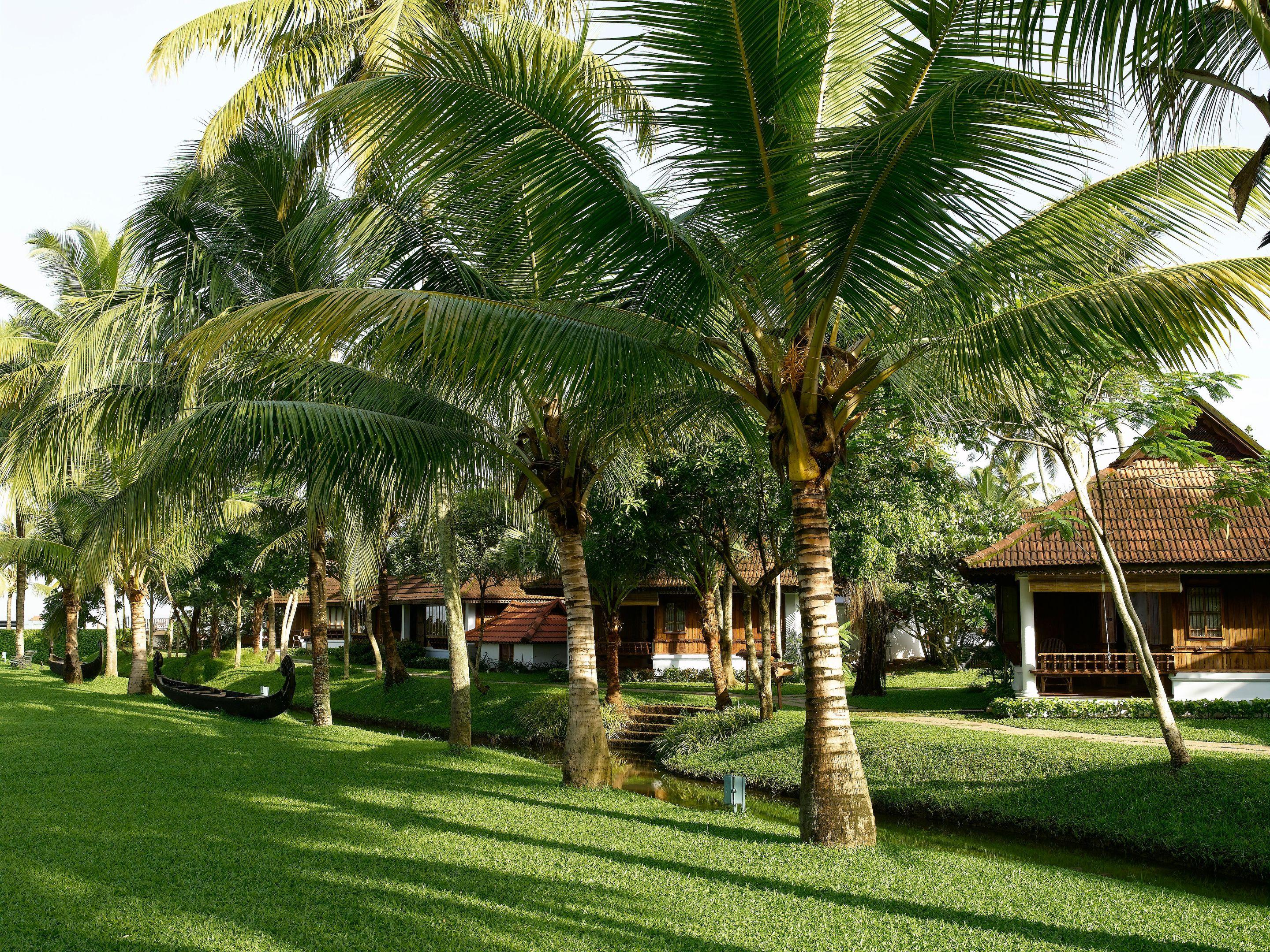 Kumarakom Lake Resort — photo 5