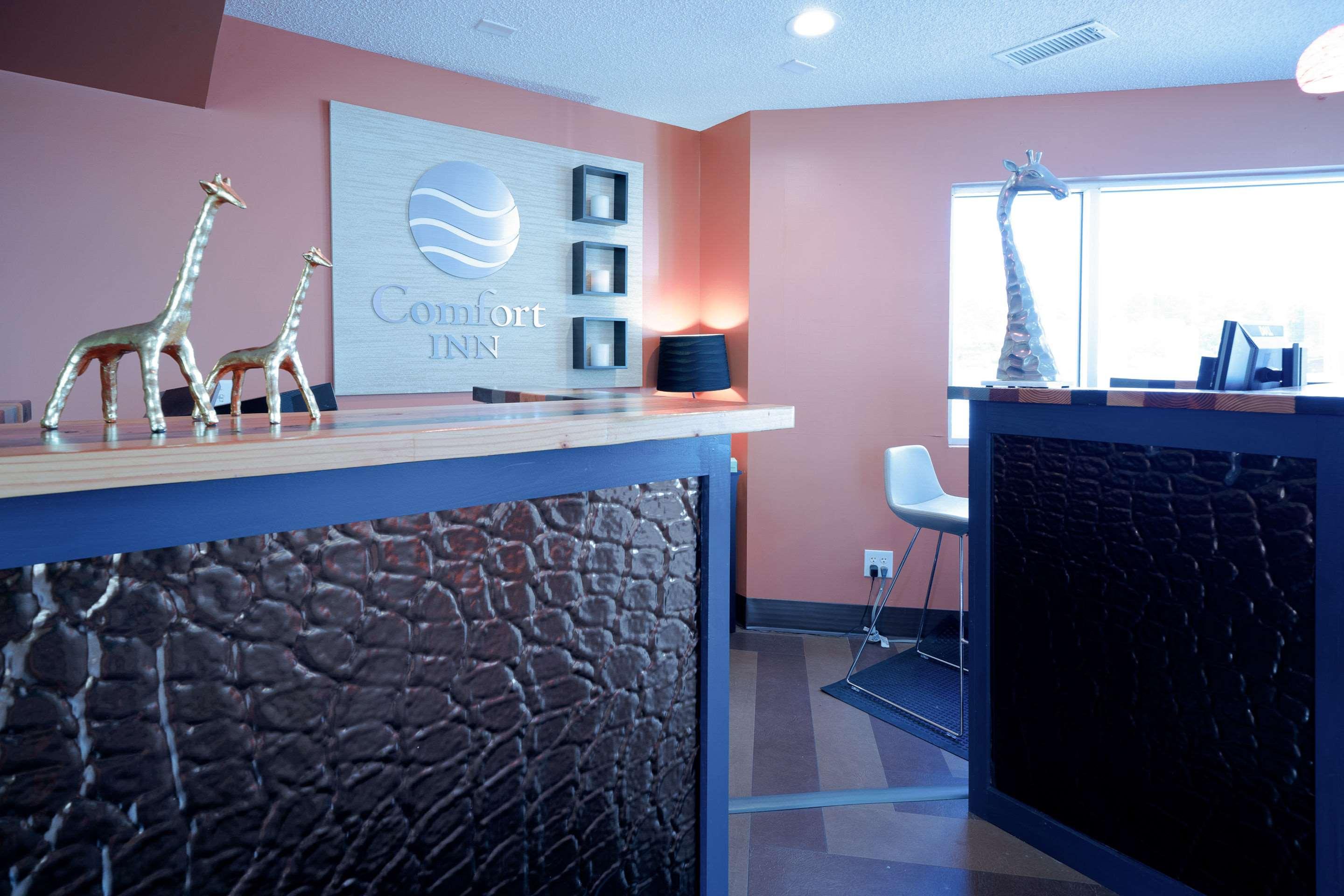 Comfort Inn At The Zoo — photo 4