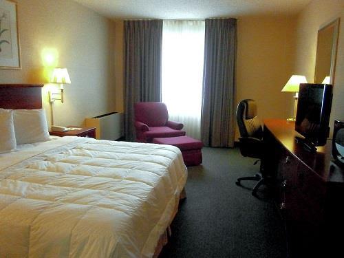 English Inn of Charlottesville — photo 4