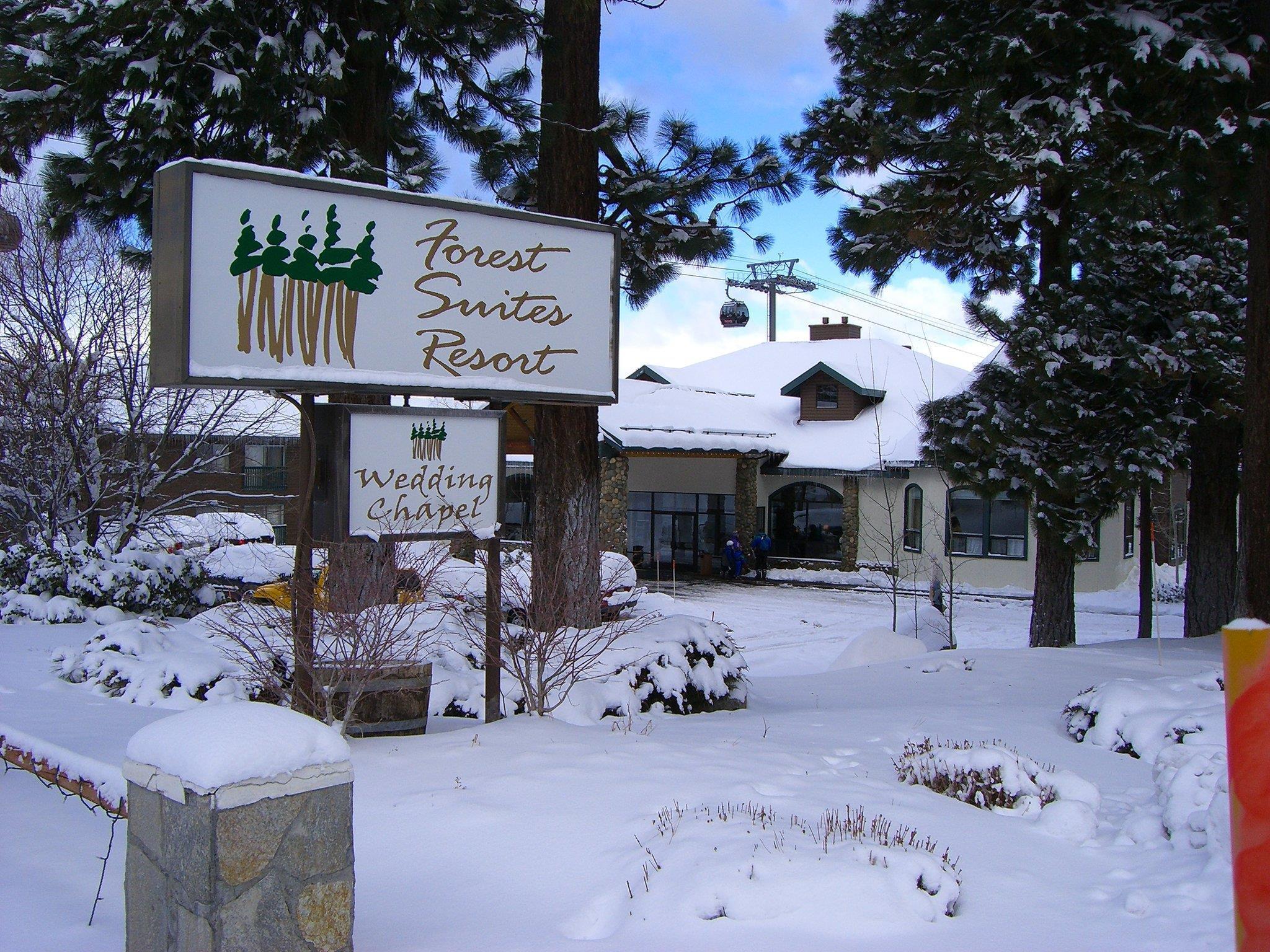 Forest Suites Resort — photo 4