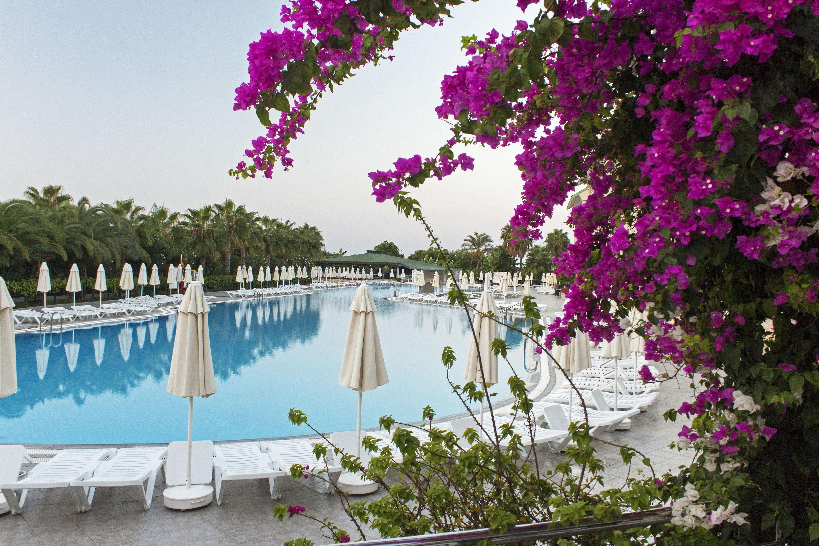 VONRESORT Elite — photo 3