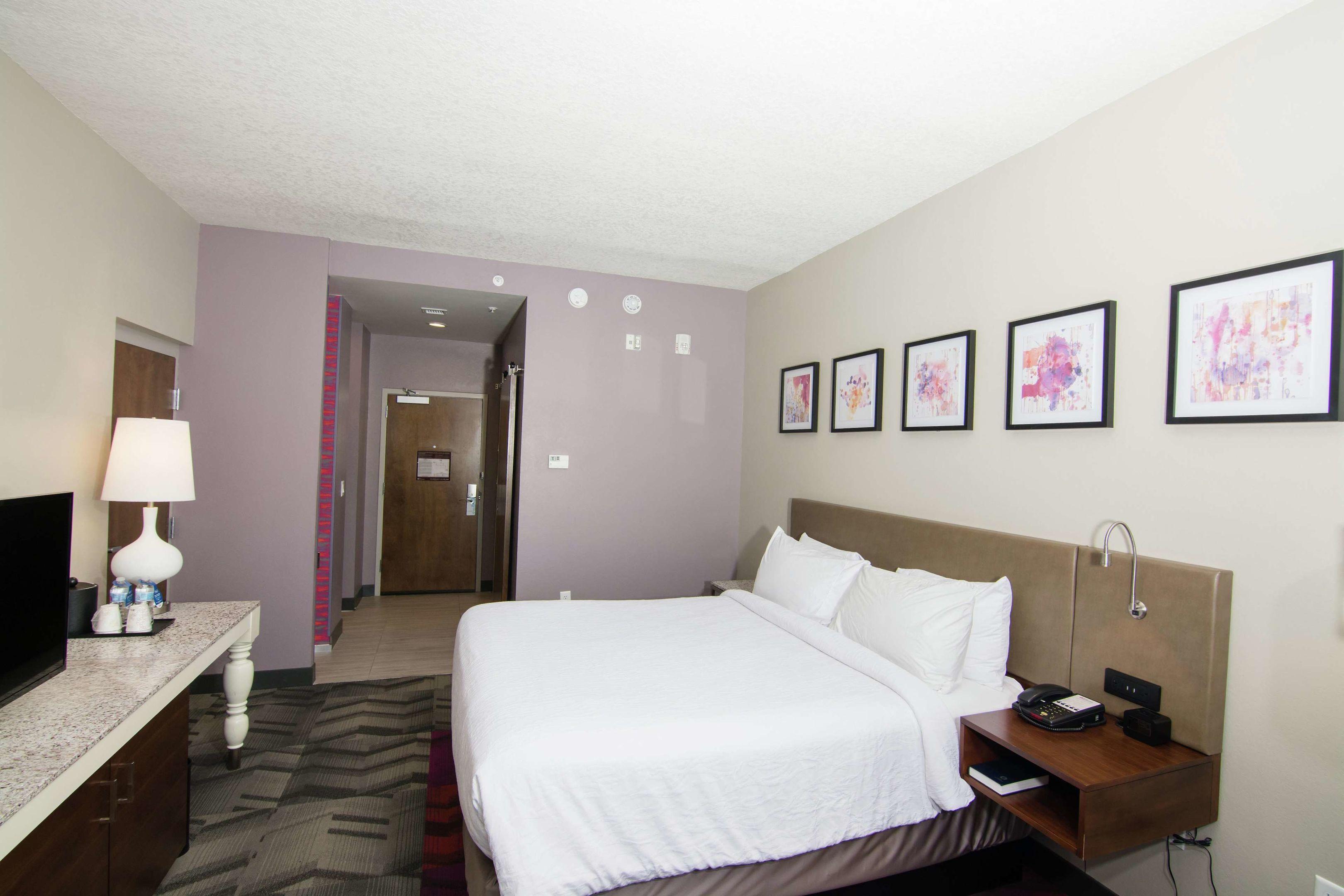 Hilton Garden Inn Tampa Suncoast Parkway — photo 4