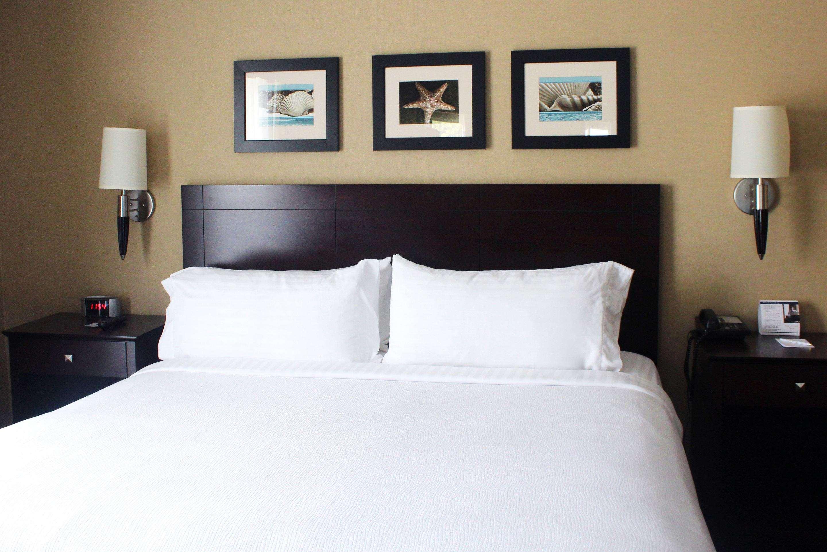 The Volare, Ascend Hotel Collection — photo 5