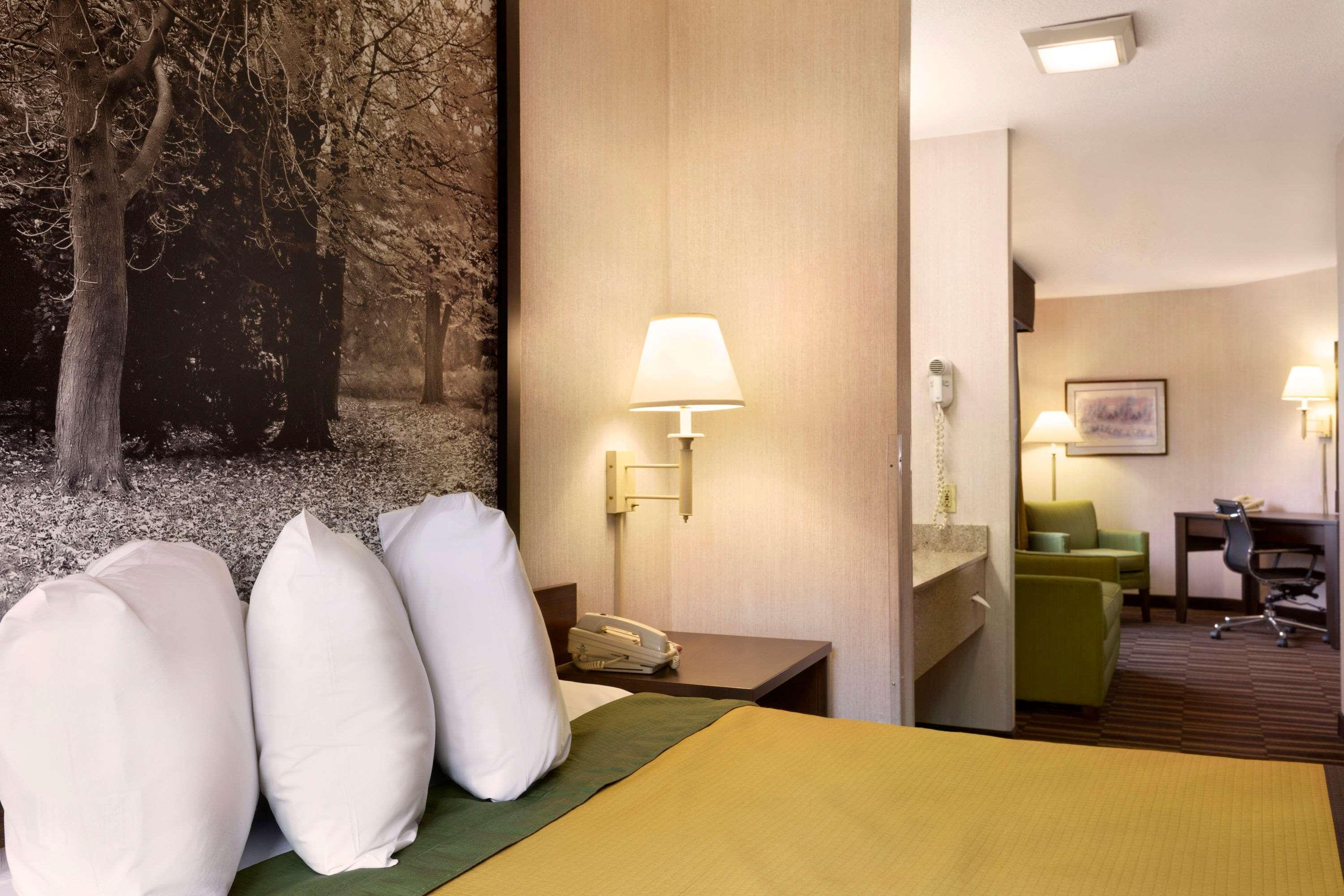 Super 8 by Wyndham West Springfield/Route 5 — photo 3