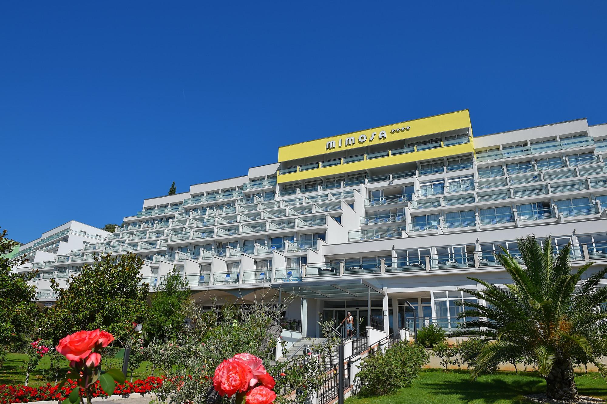 Hotel Mimosa - Lido Palace — photo 3