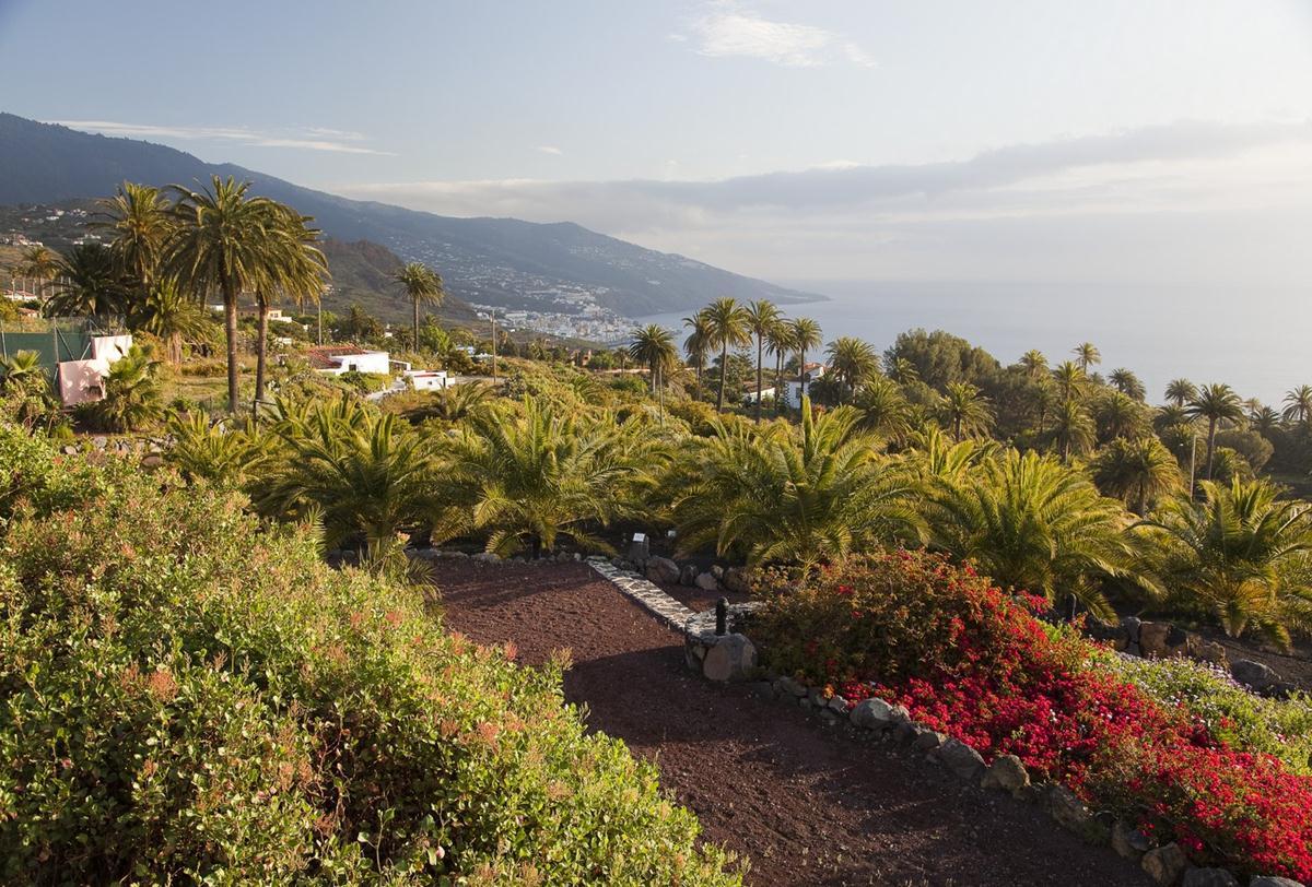 Parador de La Palma — photo 5