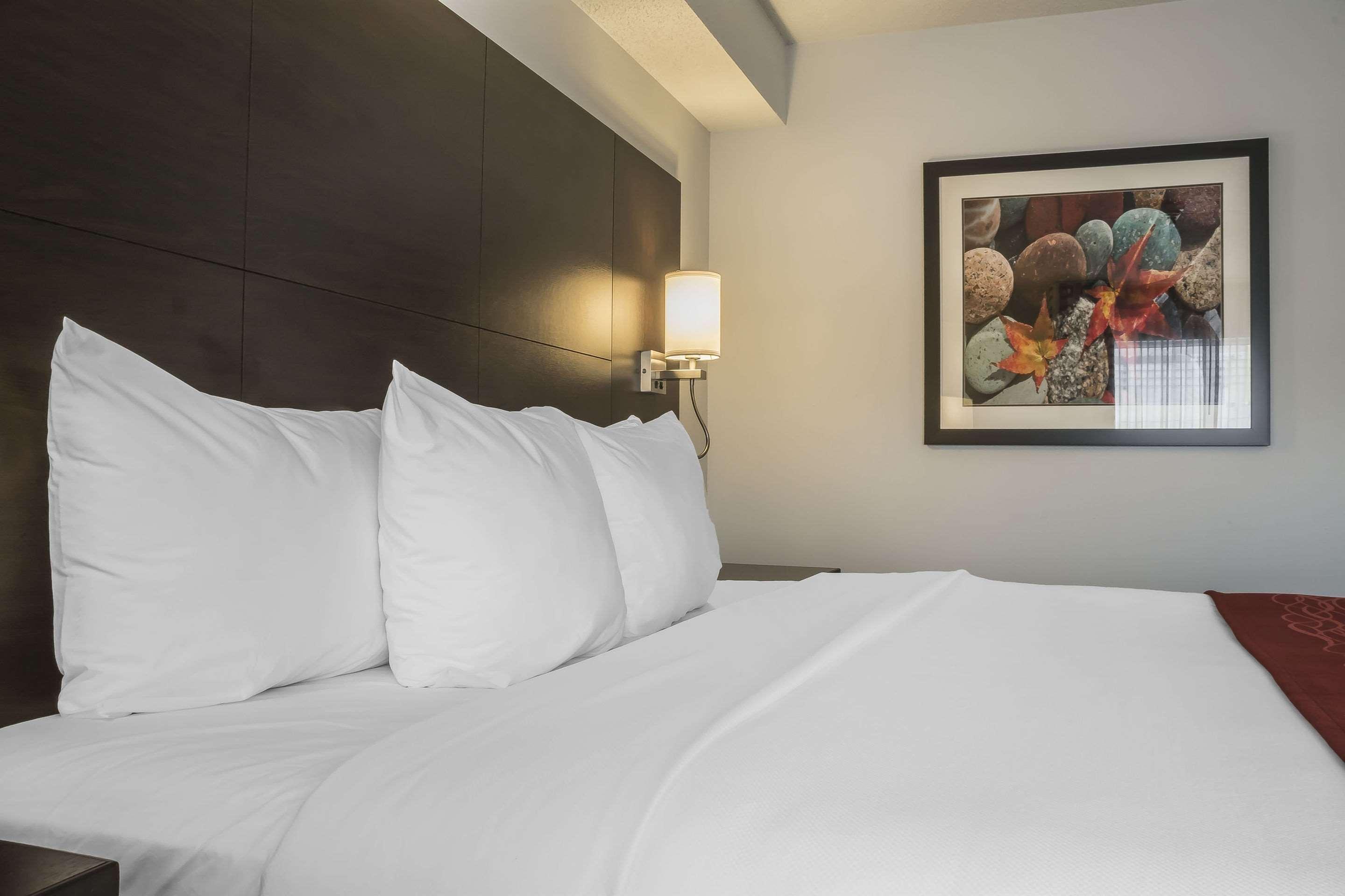 Comfort Inn — photo 5
