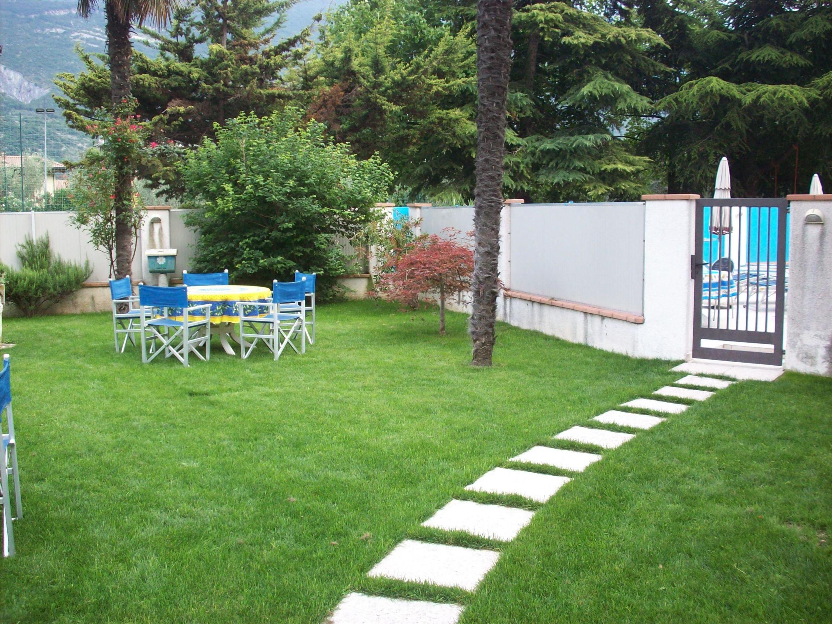 Angelini — photo 4