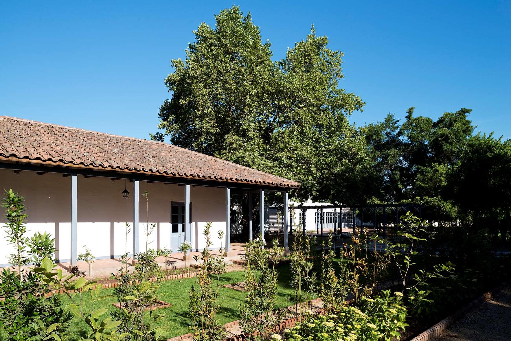 NOI Blend Colchagua — photo 3