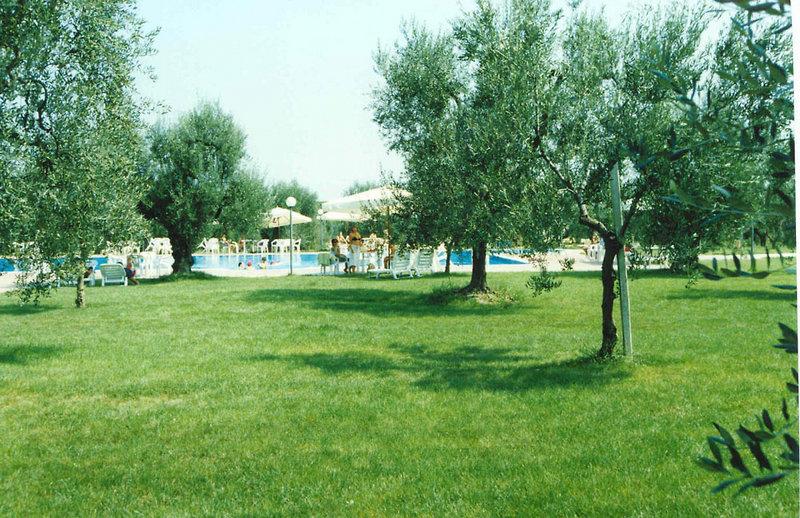 Giardino Degli Ulivi — photo 5