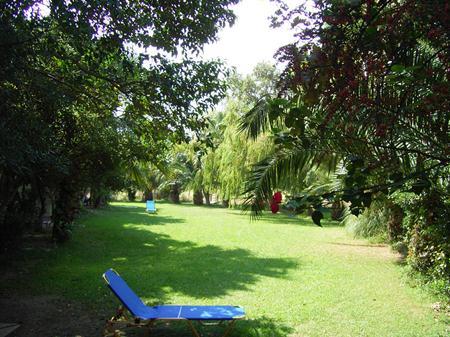 Damnoni Paradise — photo 5