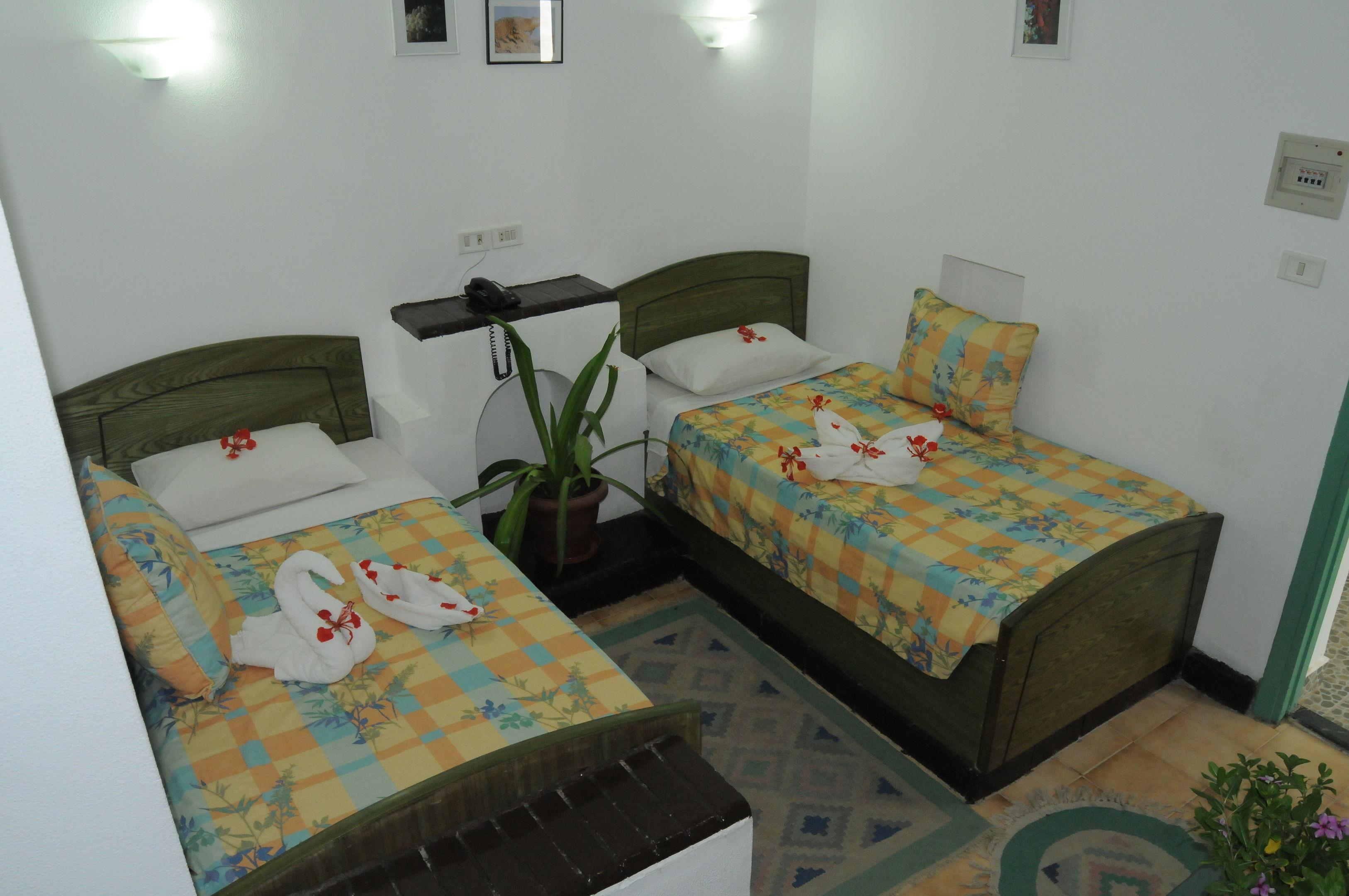 Kanabesh — photo 3