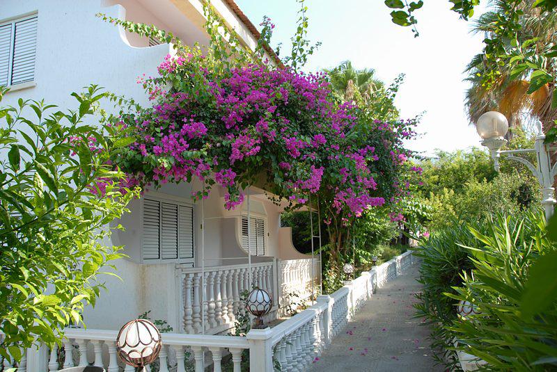 Riverside Garden Resort — photo 3