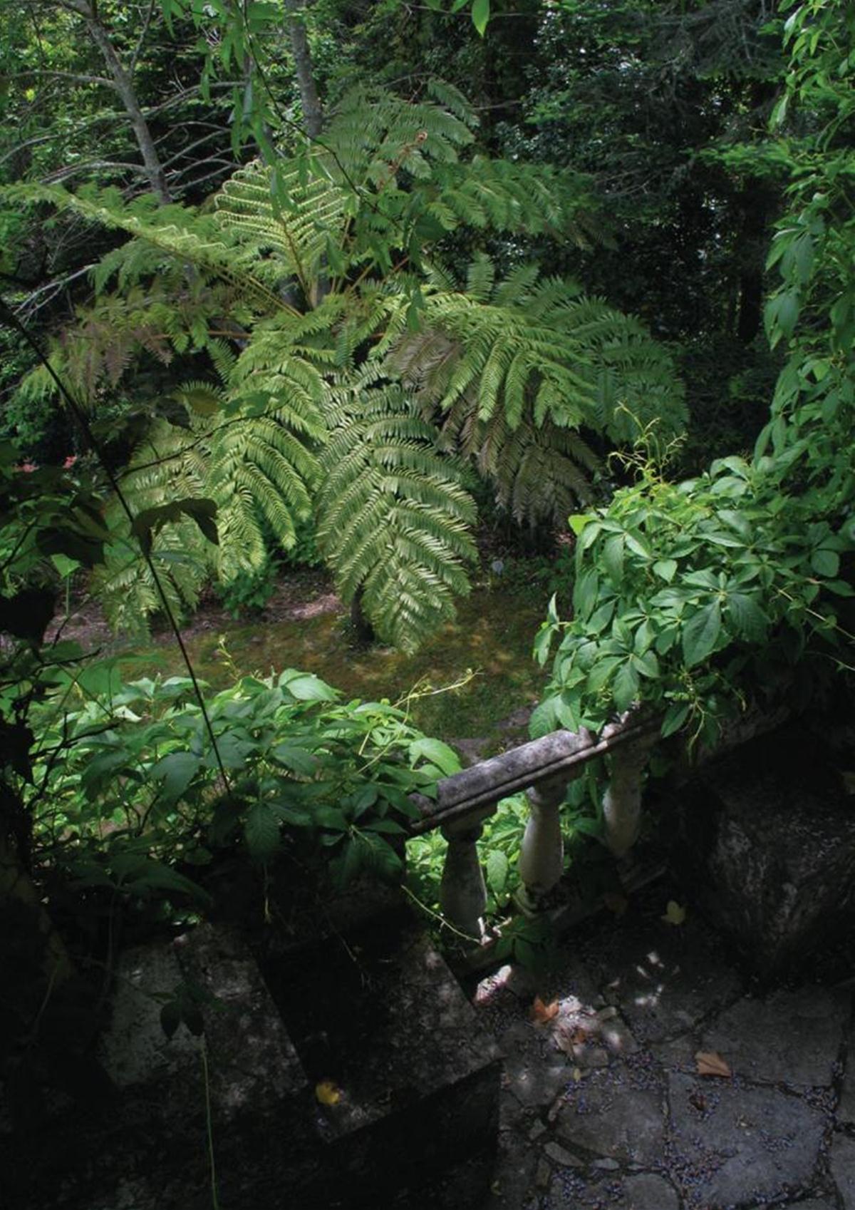 Quinta das Sequoias — photo 4