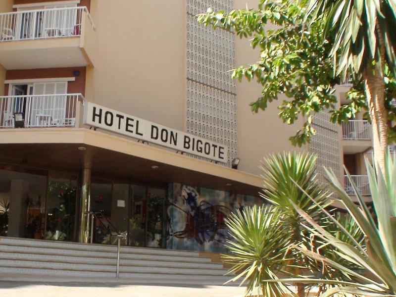 Don Bigote — photo 5