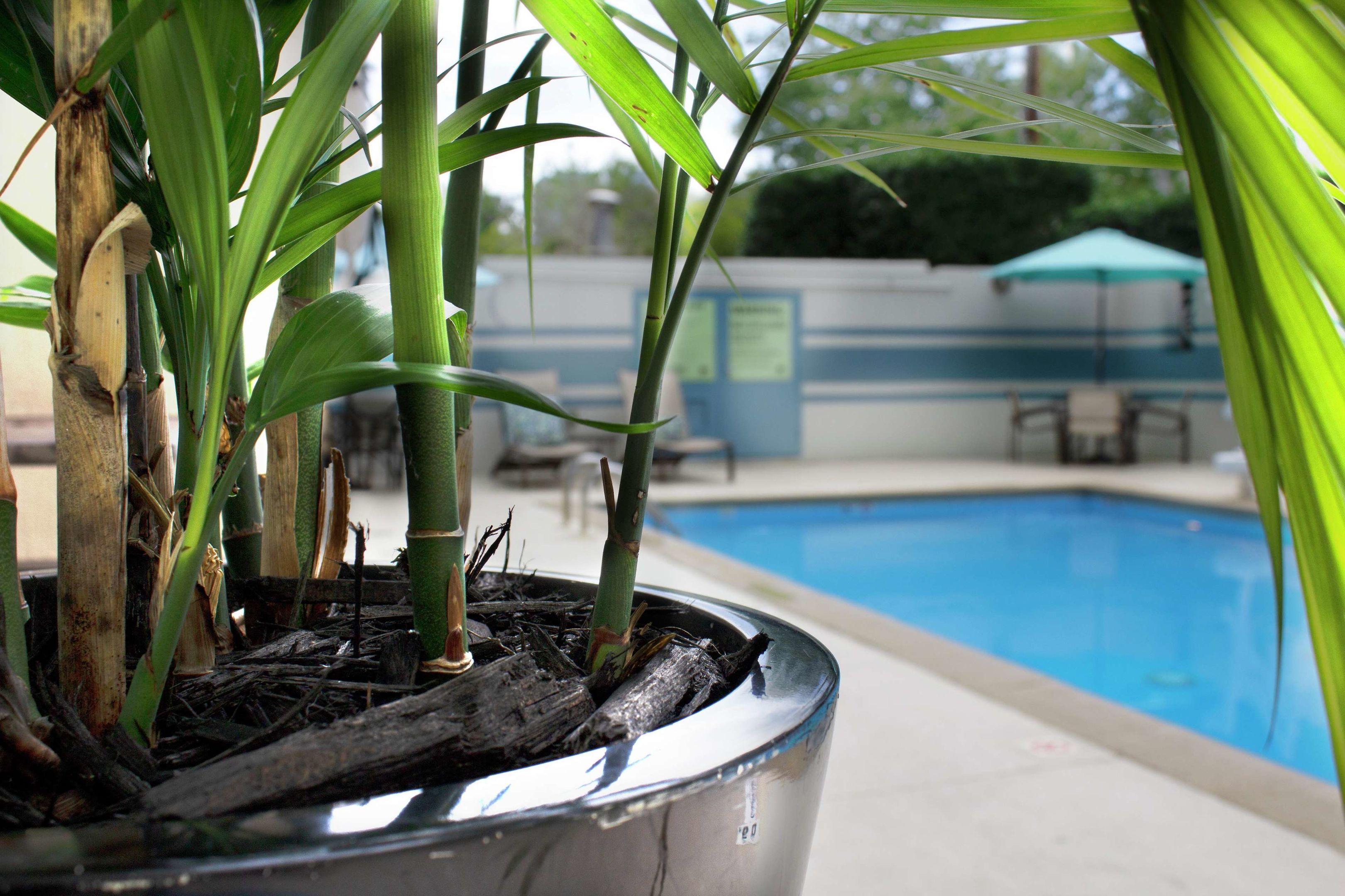 DoubleTree by Hilton Hotel Charlotte — photo 5